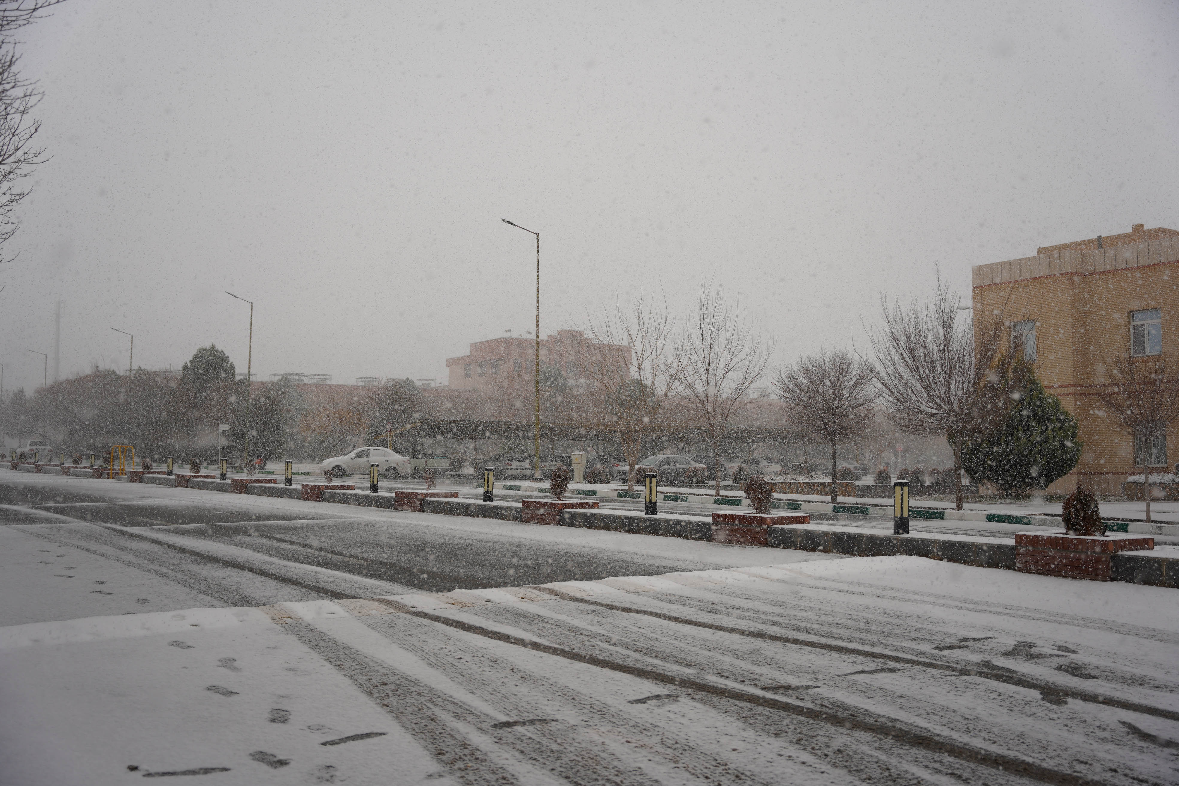 عکس: محمدمهدی دانش‌دوست
