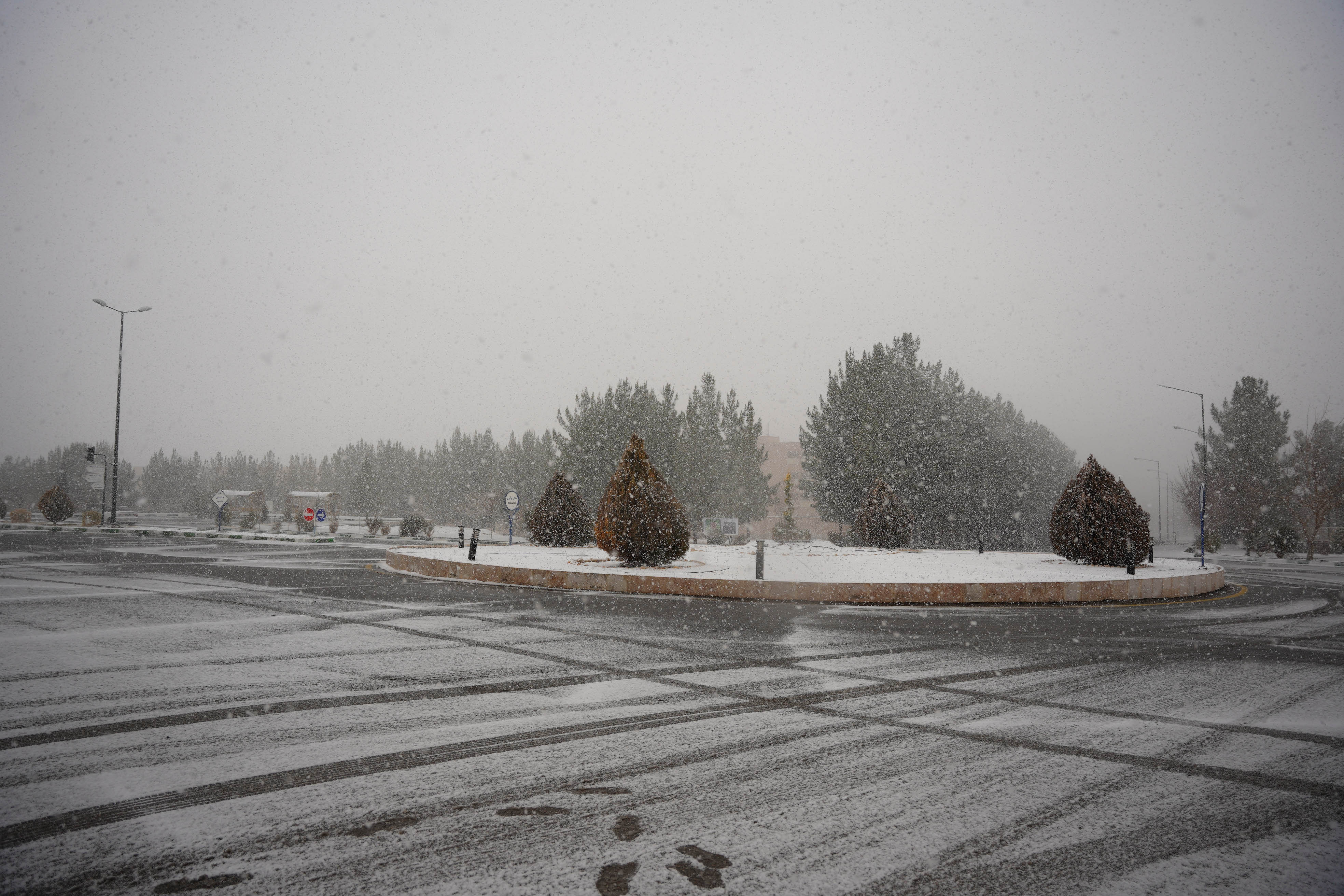 عکس: محمدمهدی دانش‌دوست