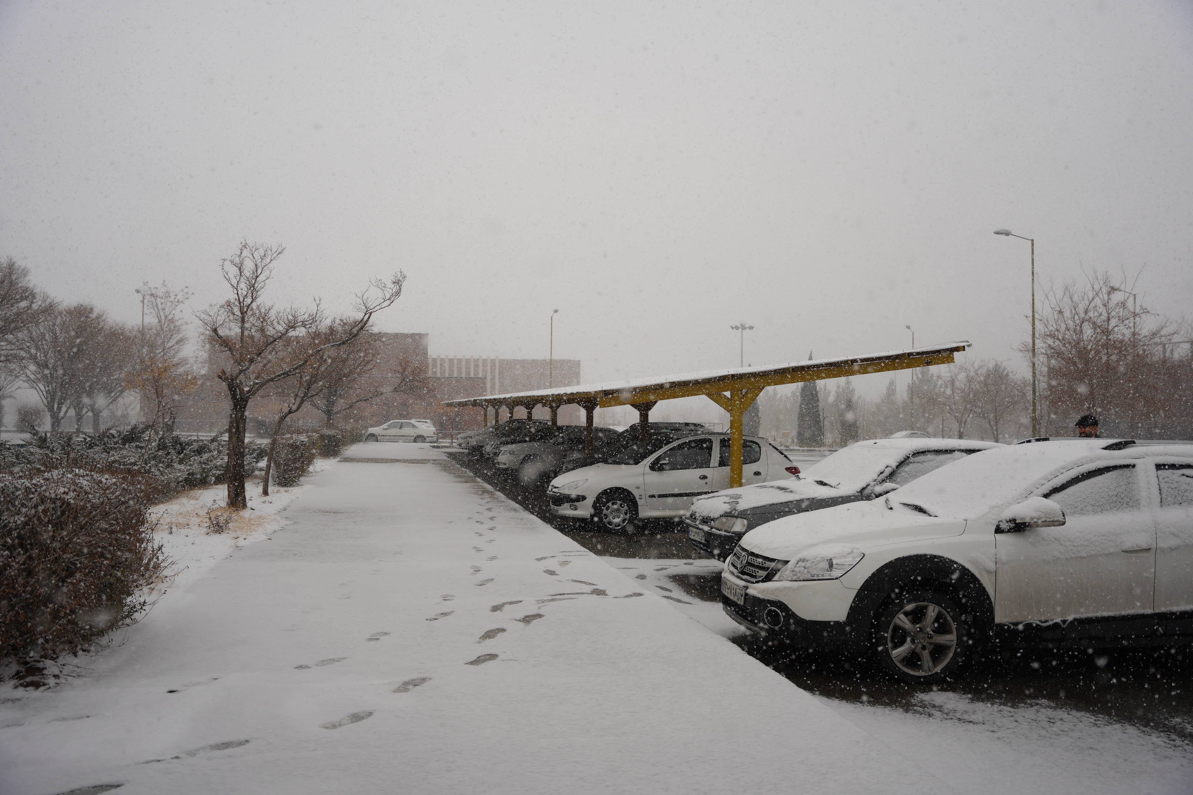 عکس: محمدمهدی دانش‌دوست