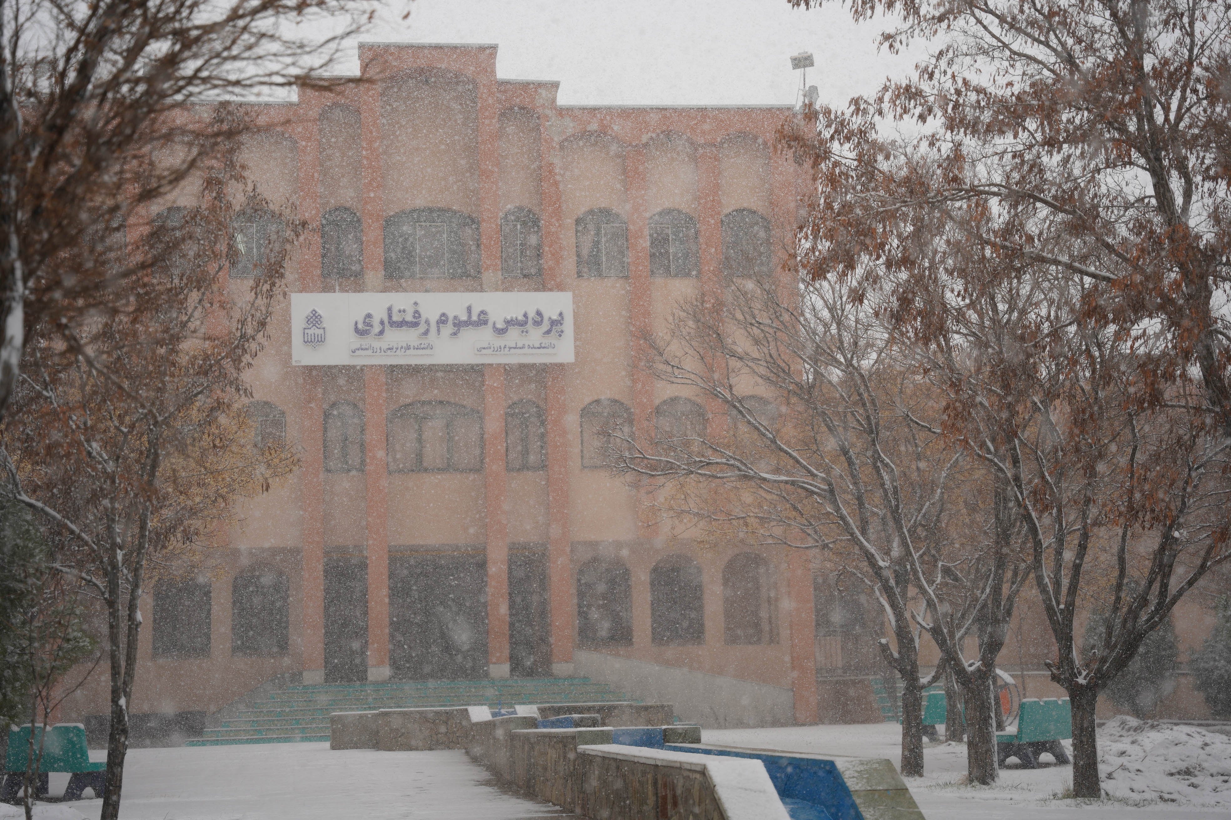 عکس: محمدمهدی دانش‌دوست