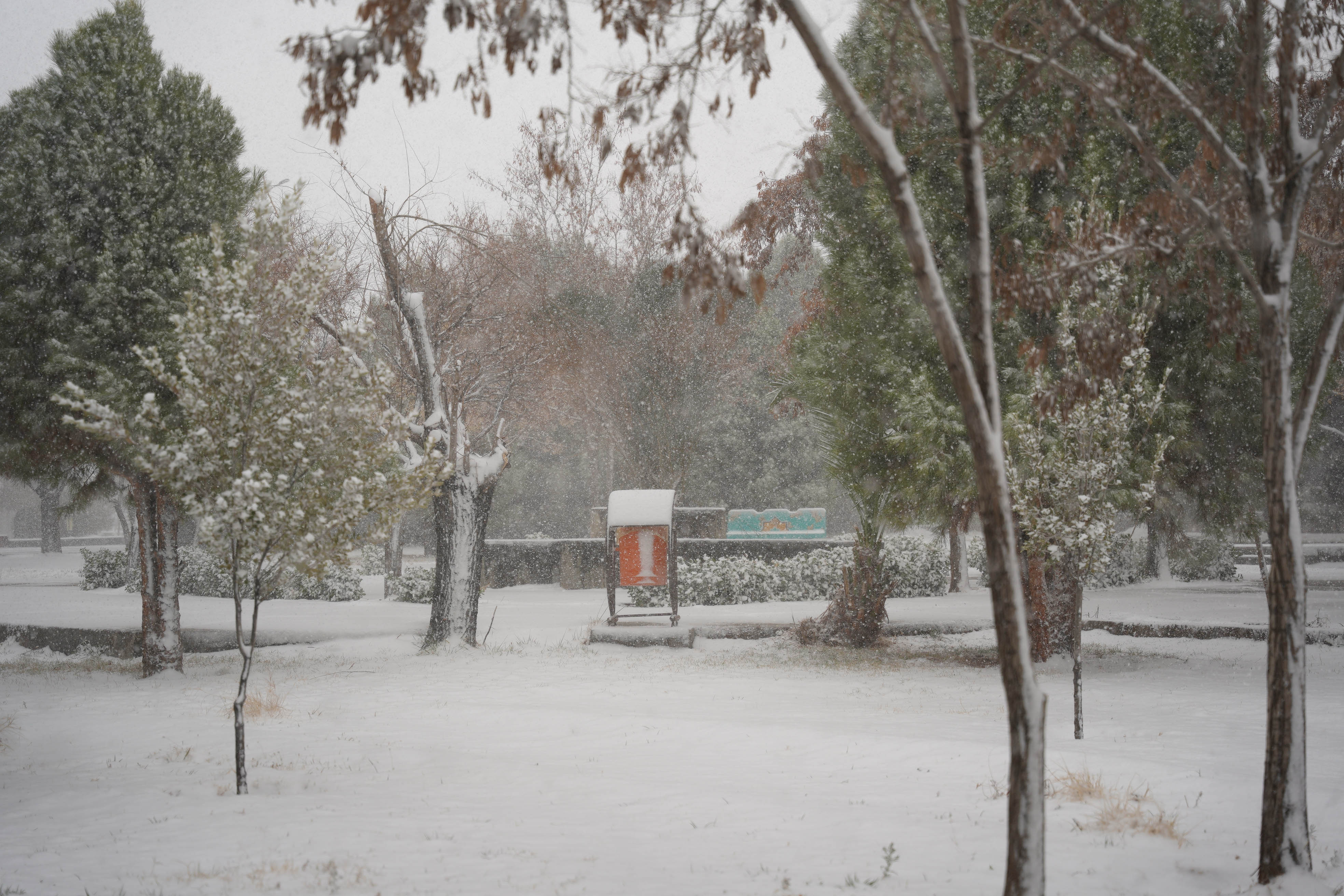 عکس: محمدمهدی دانش‌دوست