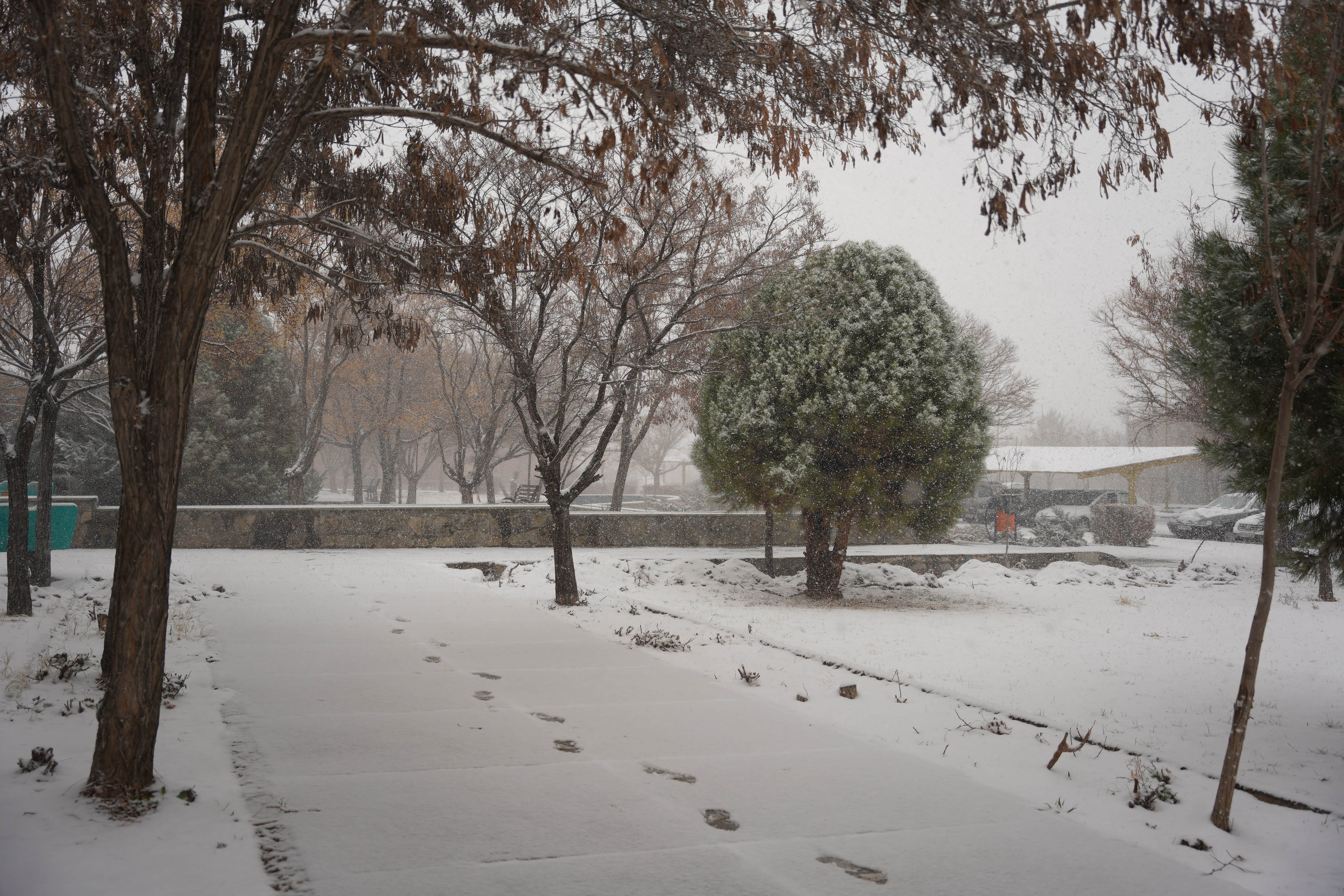 عکس: محمدمهدی دانش‌دوست