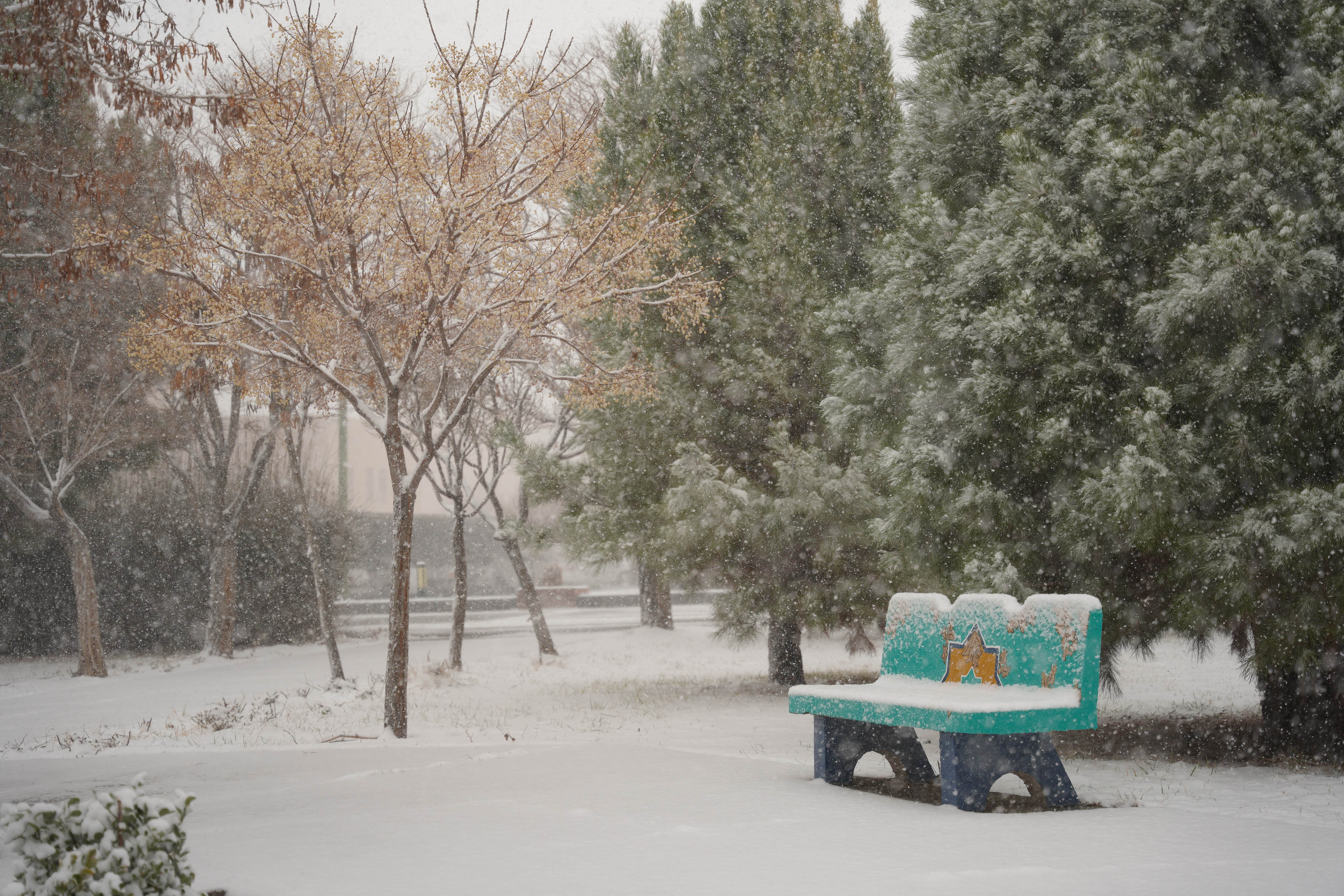 عکس: محمدمهدی دانش‌دوست