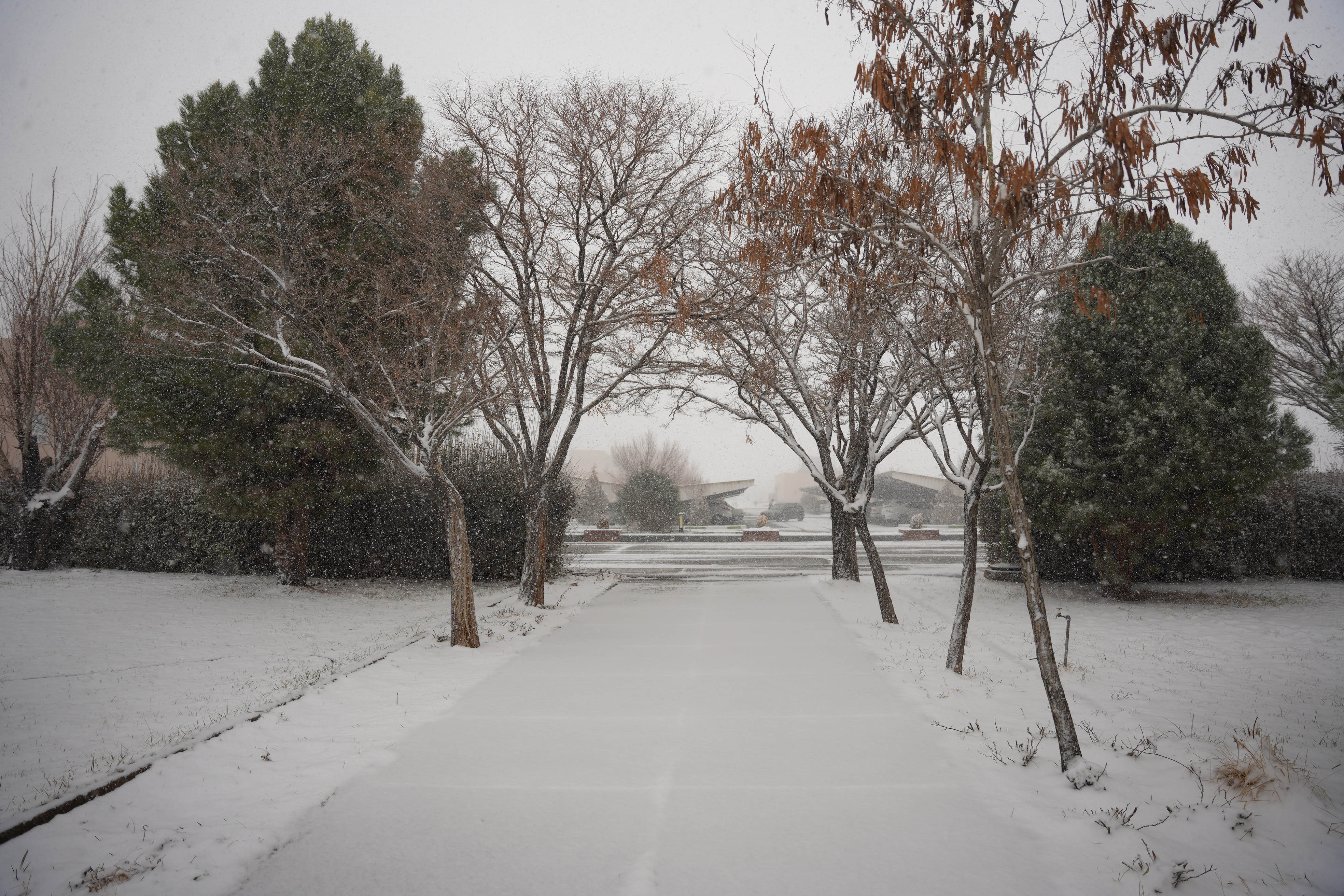 عکس: محمدمهدی دانش‌دوست