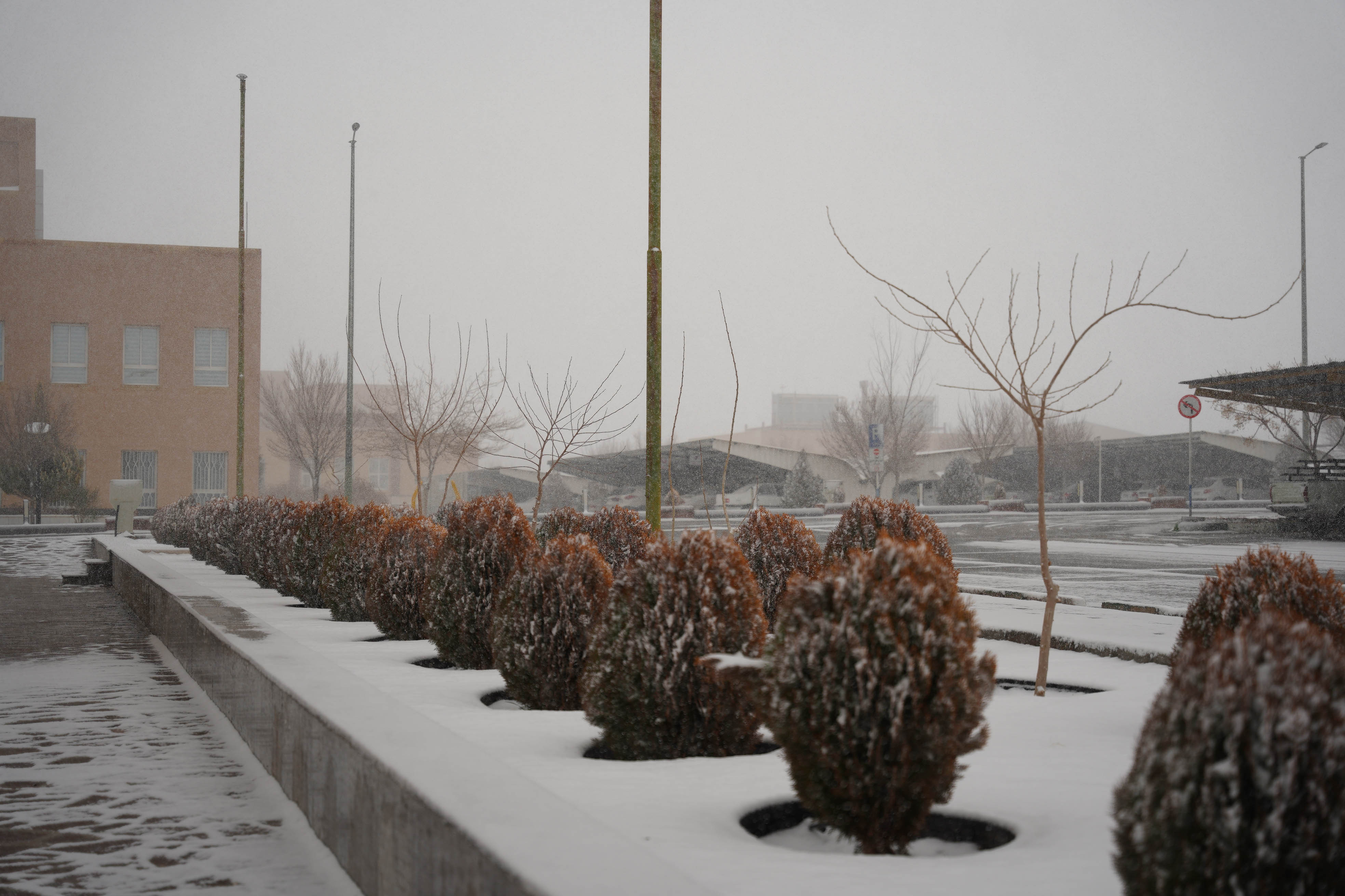 عکس: محمدمهدی دانش‌دوست