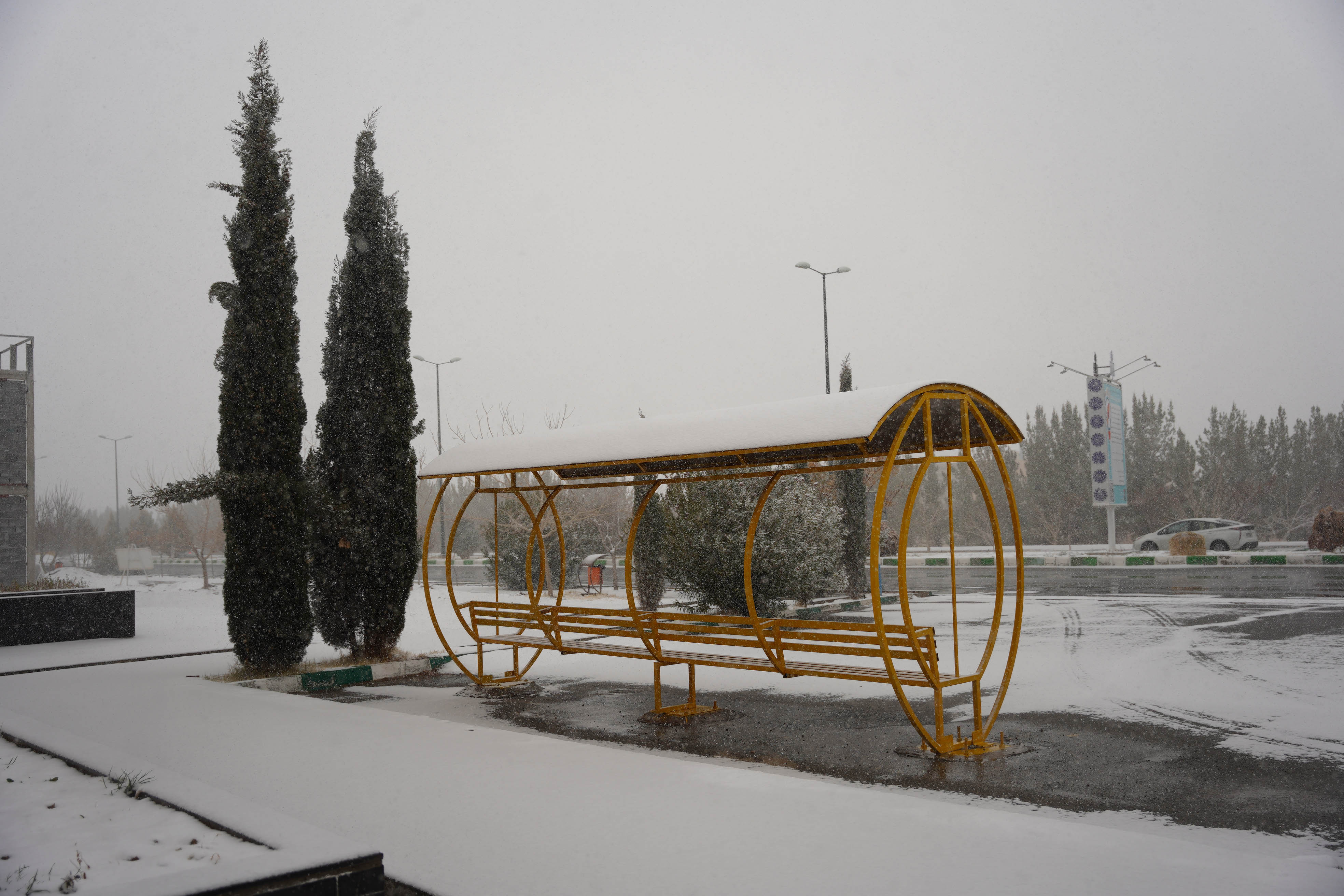 عکس: محمدمهدی دانش‌دوست