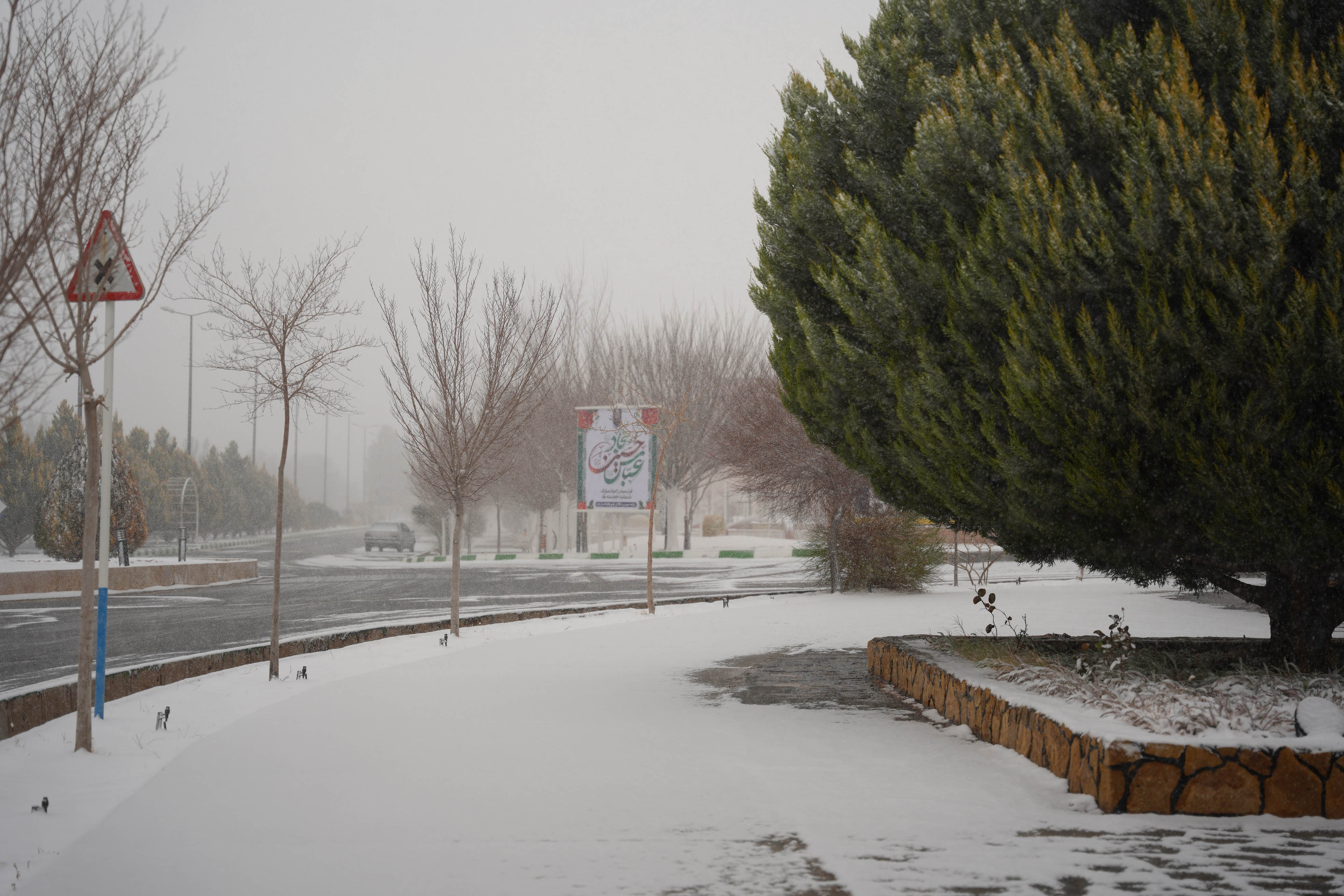 عکس: محمدمهدی دانش‌دوست