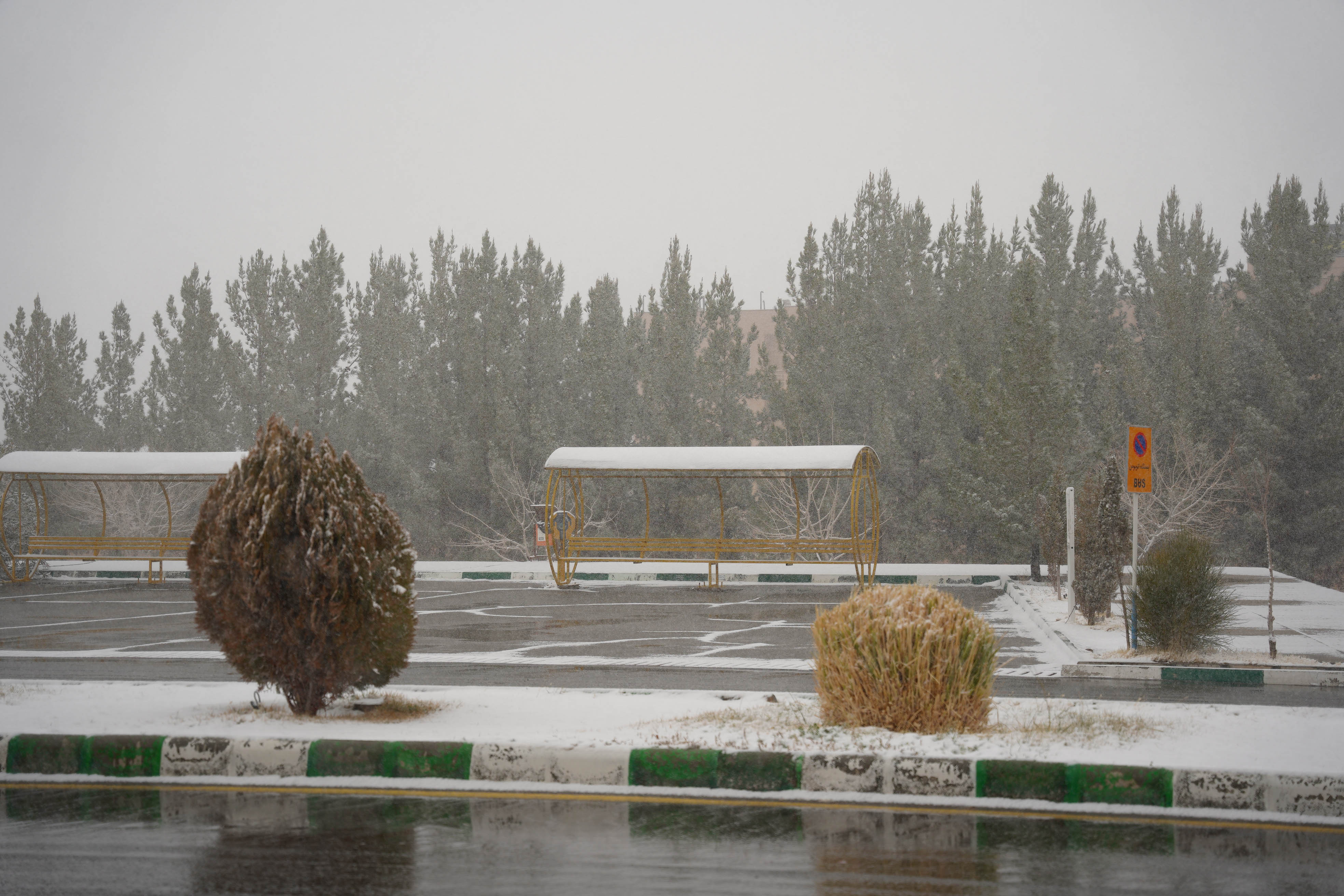 عکس: محمدمهدی دانش‌دوست
