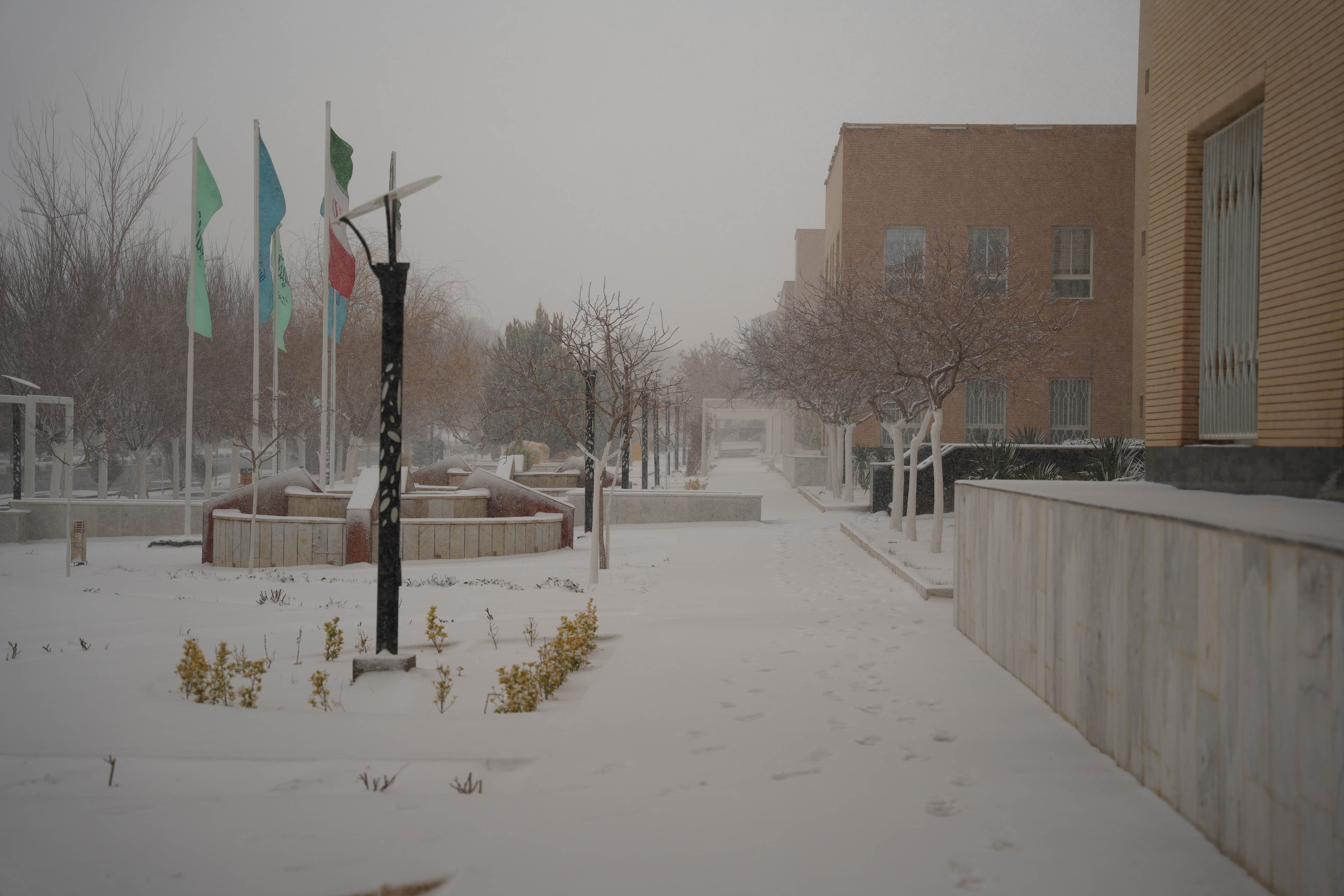 عکس: محمدمهدی دانش‌دوست