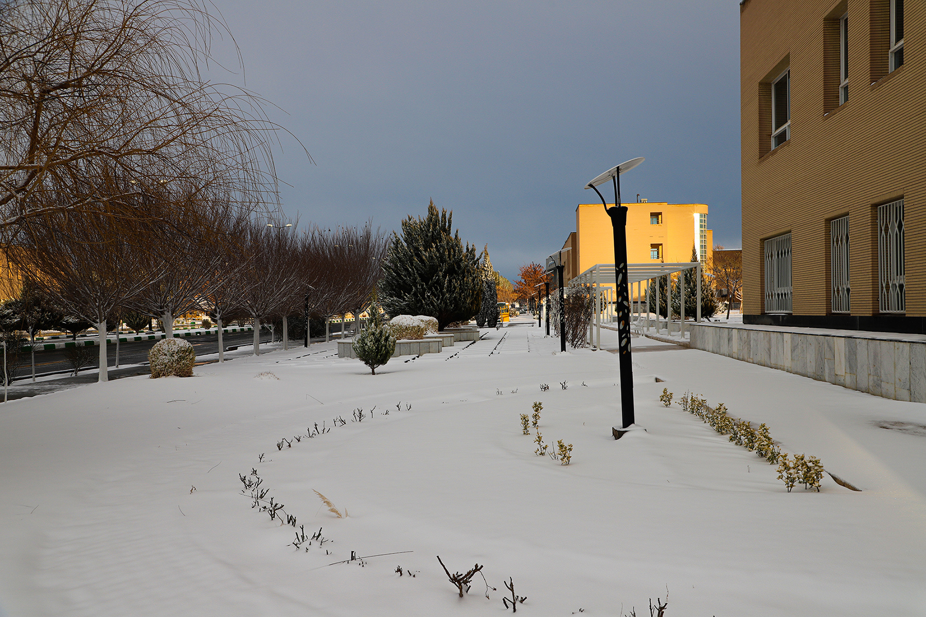 عکس: حسین سبزه‌بان