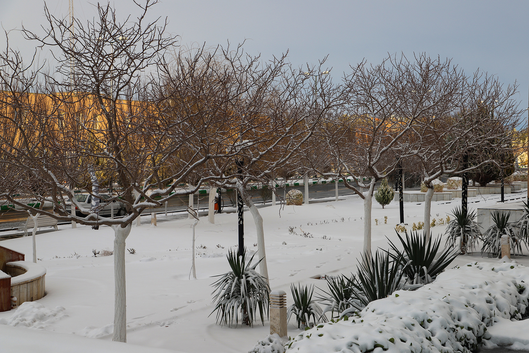 عکس: حسین سبزه‌بان
