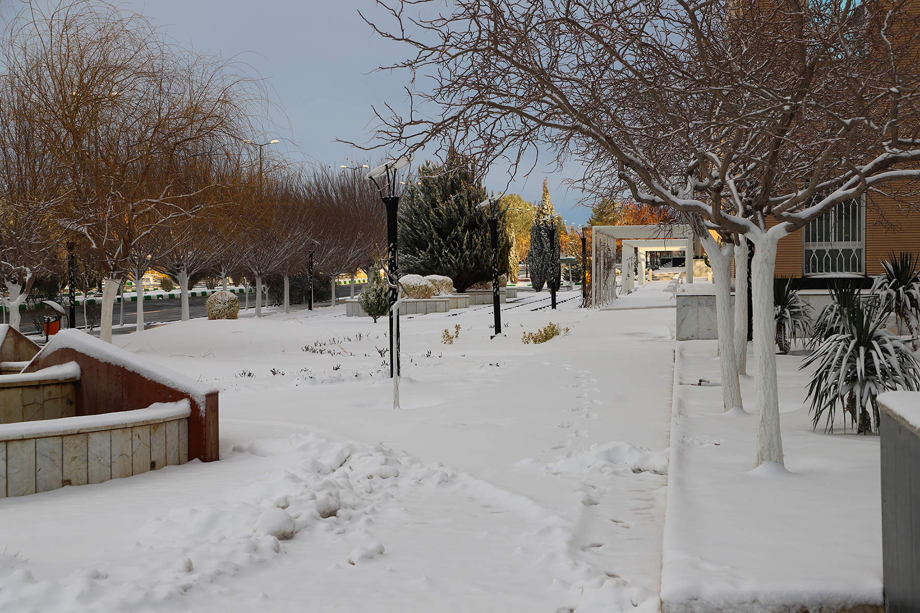 عکس: حسین سبزه‌بان