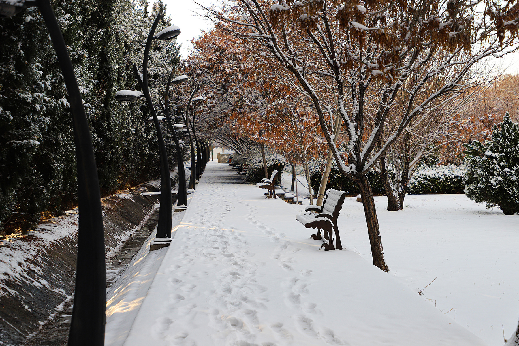 عکس: حسین سبزه‌بان