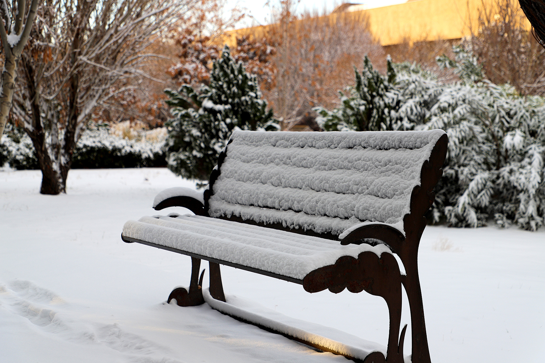 عکس: حسین سبزه‌بان