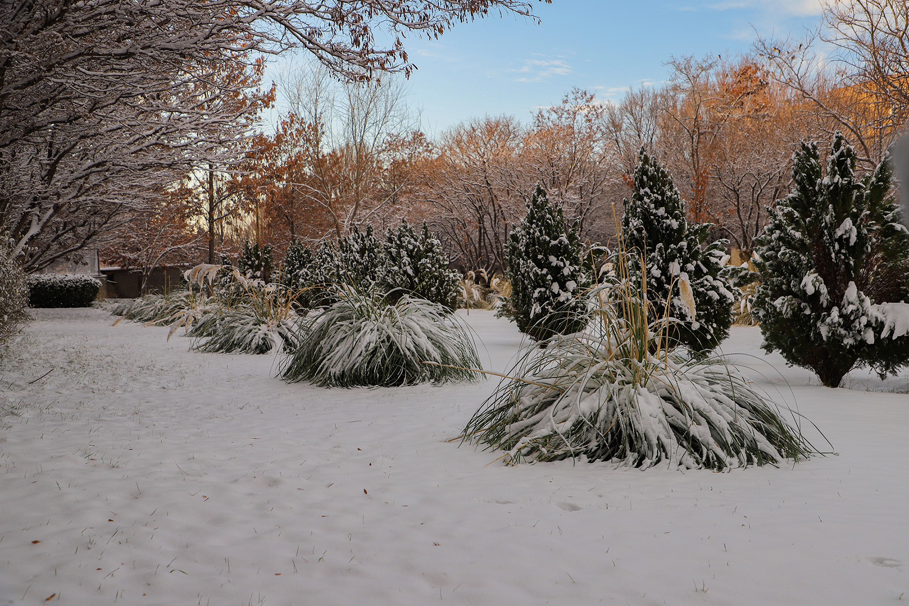 عکس: حسین سبزه‌بان