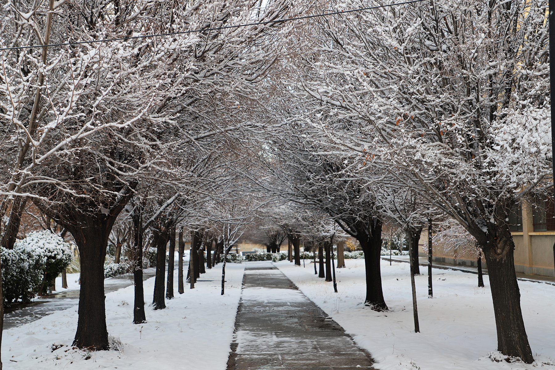 عکس: حسین سبزه‌بان