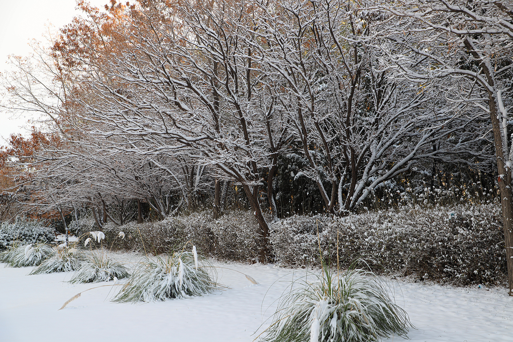 عکس: حسین سبزه‌بان