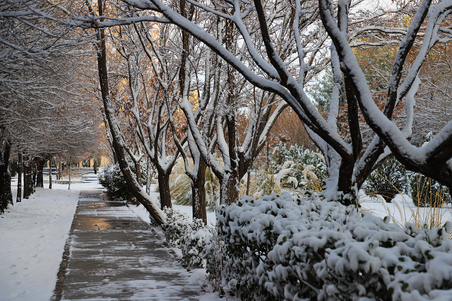 عکس: حسین سبزه‌بان