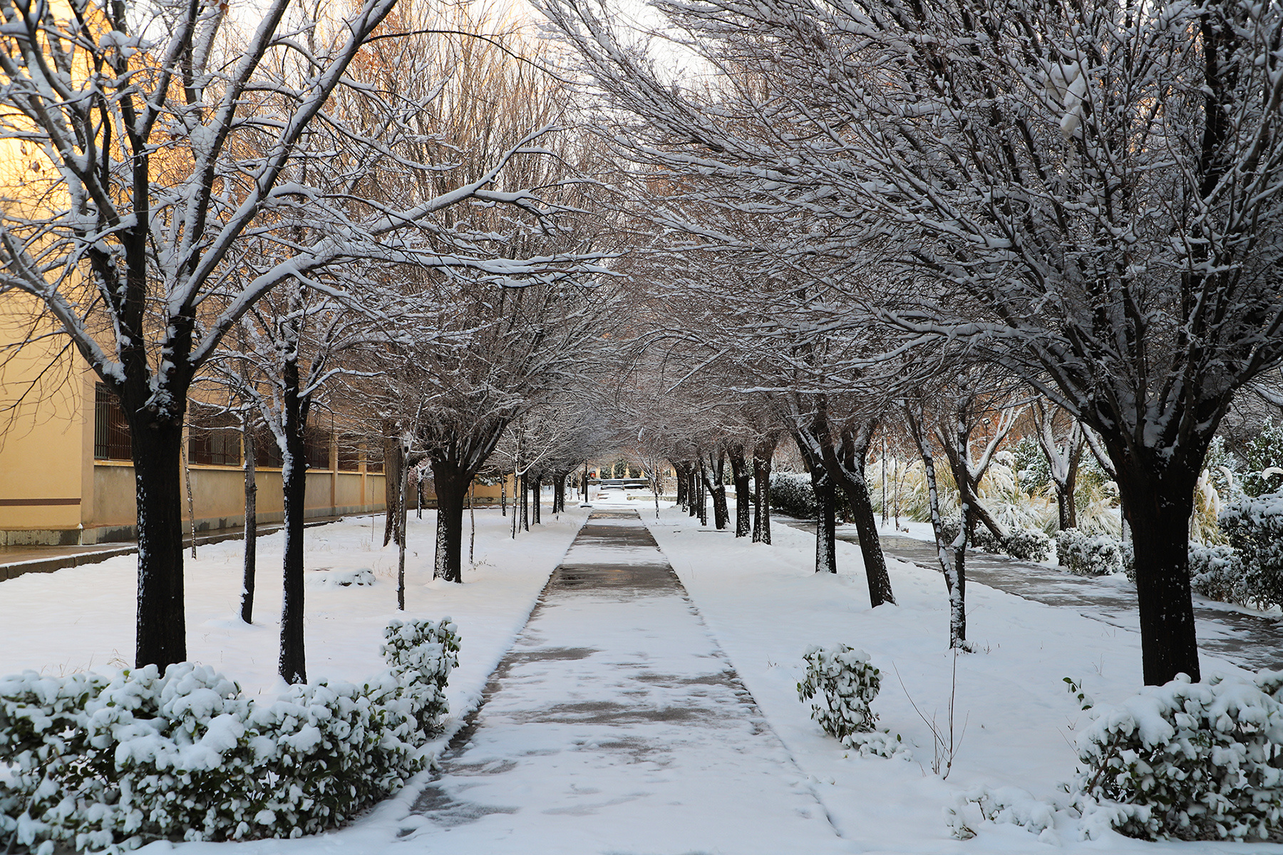 عکس: حسین سبزه‌بان