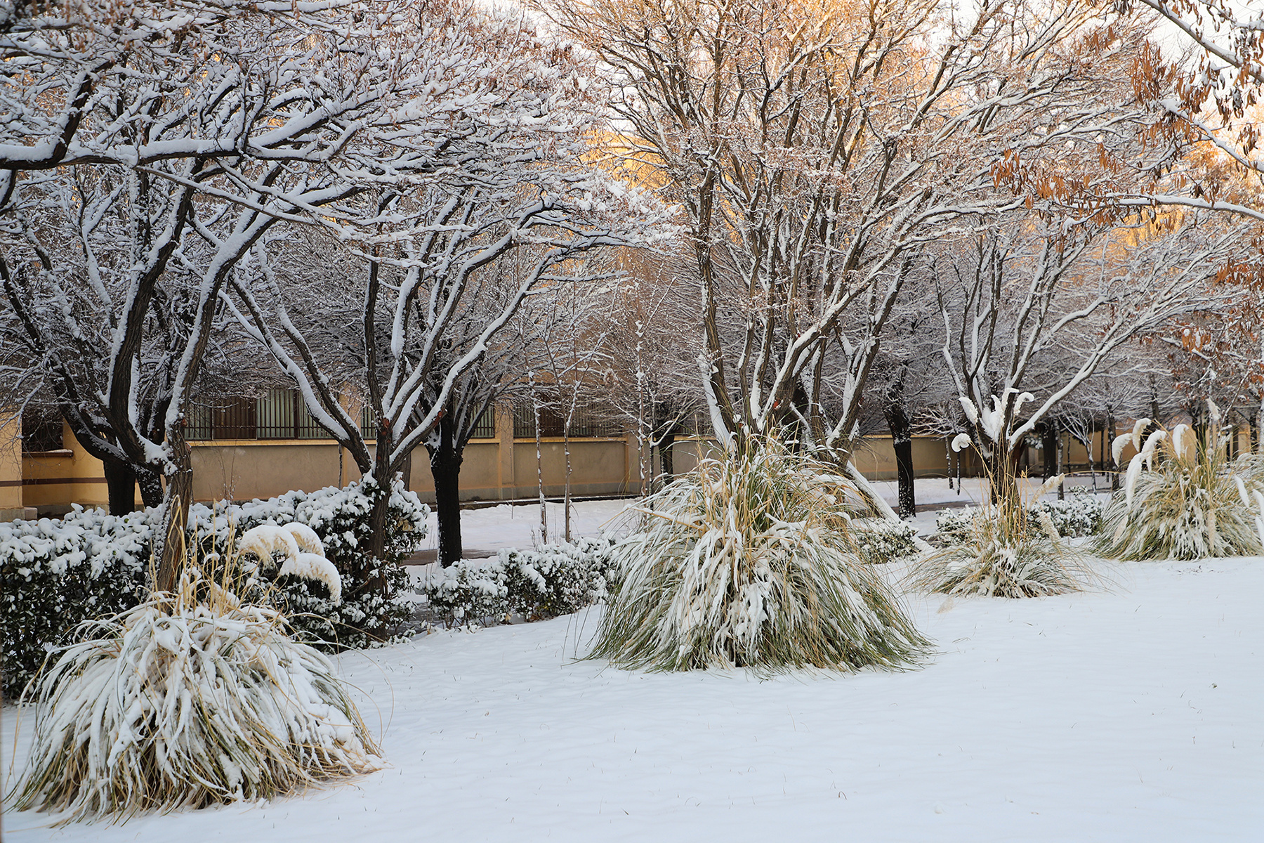 عکس: حسین سبزه‌بان