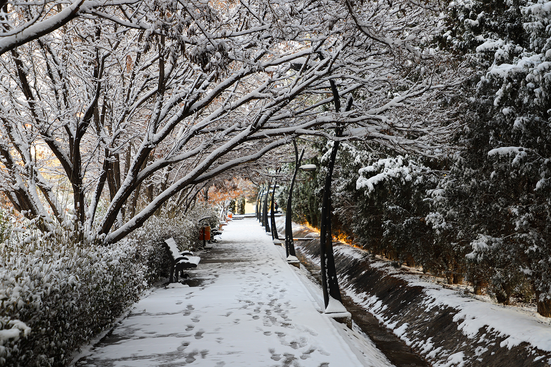 عکس: حسین سبزه‌بان