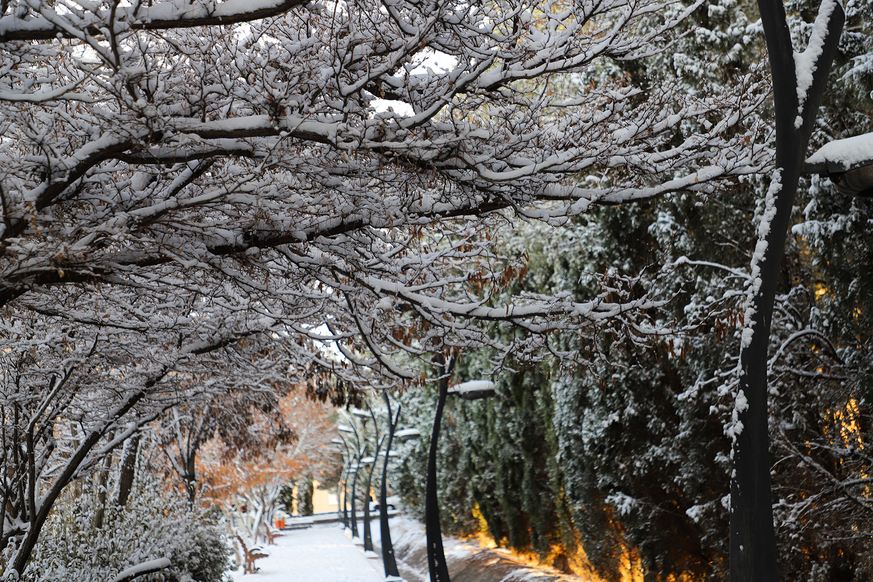 عکس: حسین سبزه‌بان