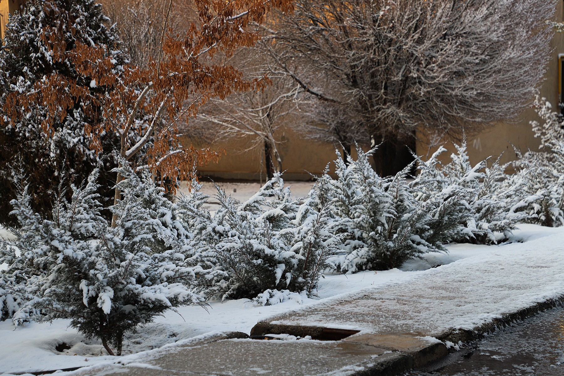 عکس: حسین سبزه‌بان