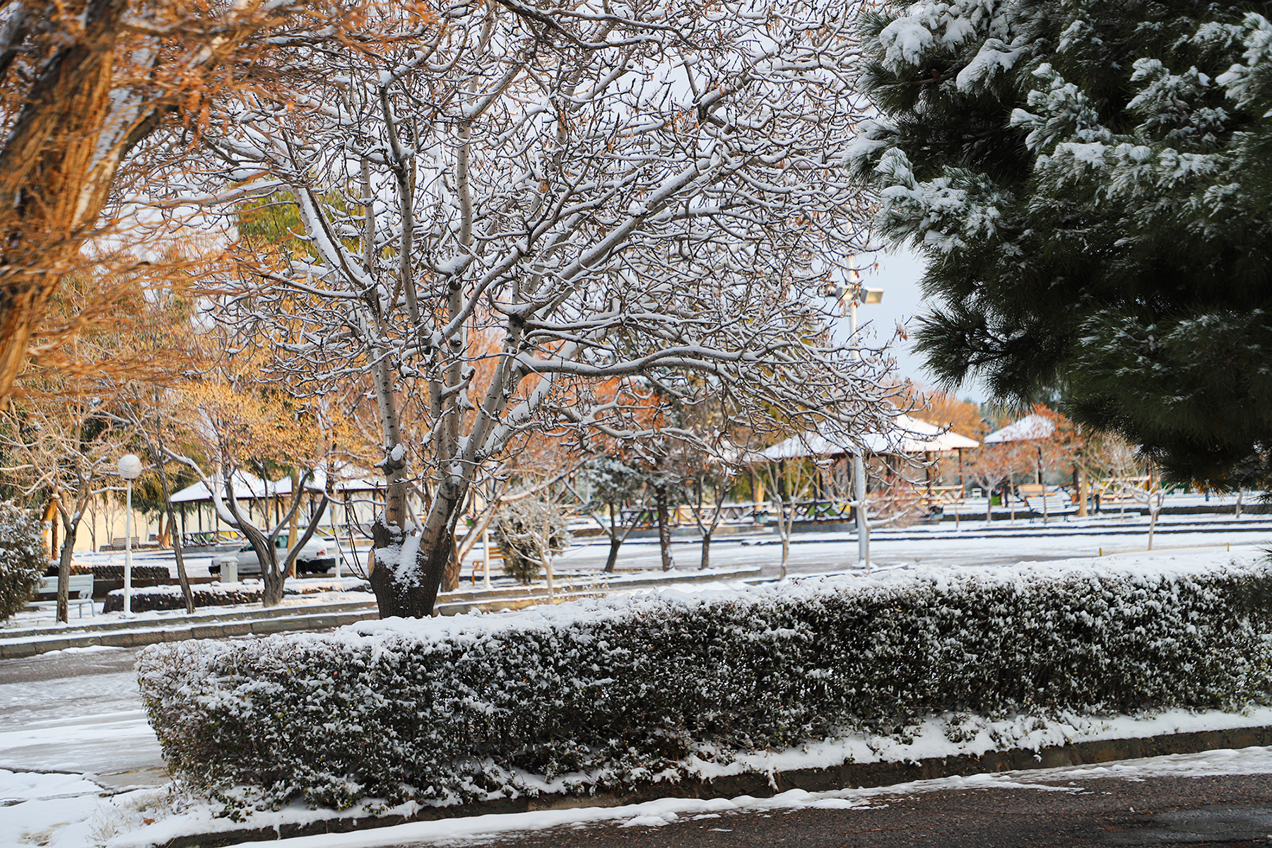 عکس: حسین سبزه‌بان