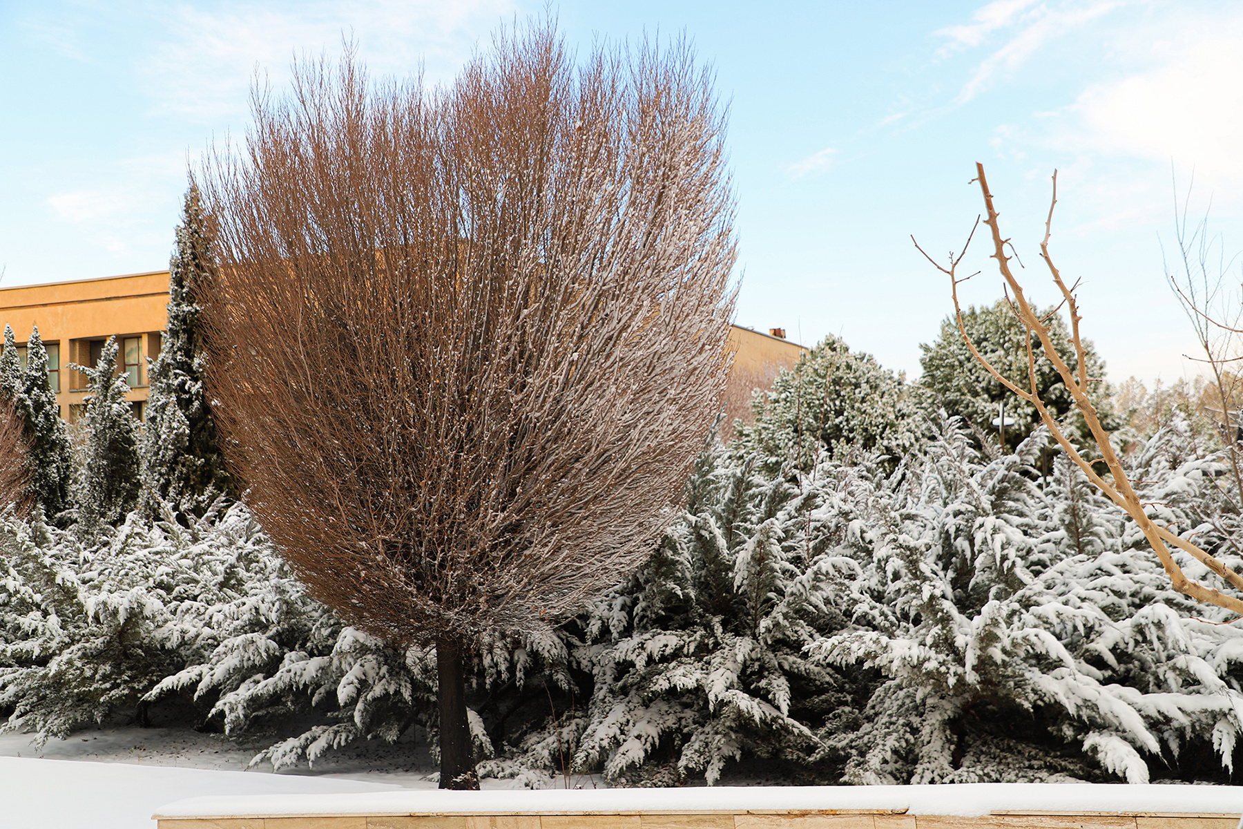 عکس: حسین سبزه‌بان