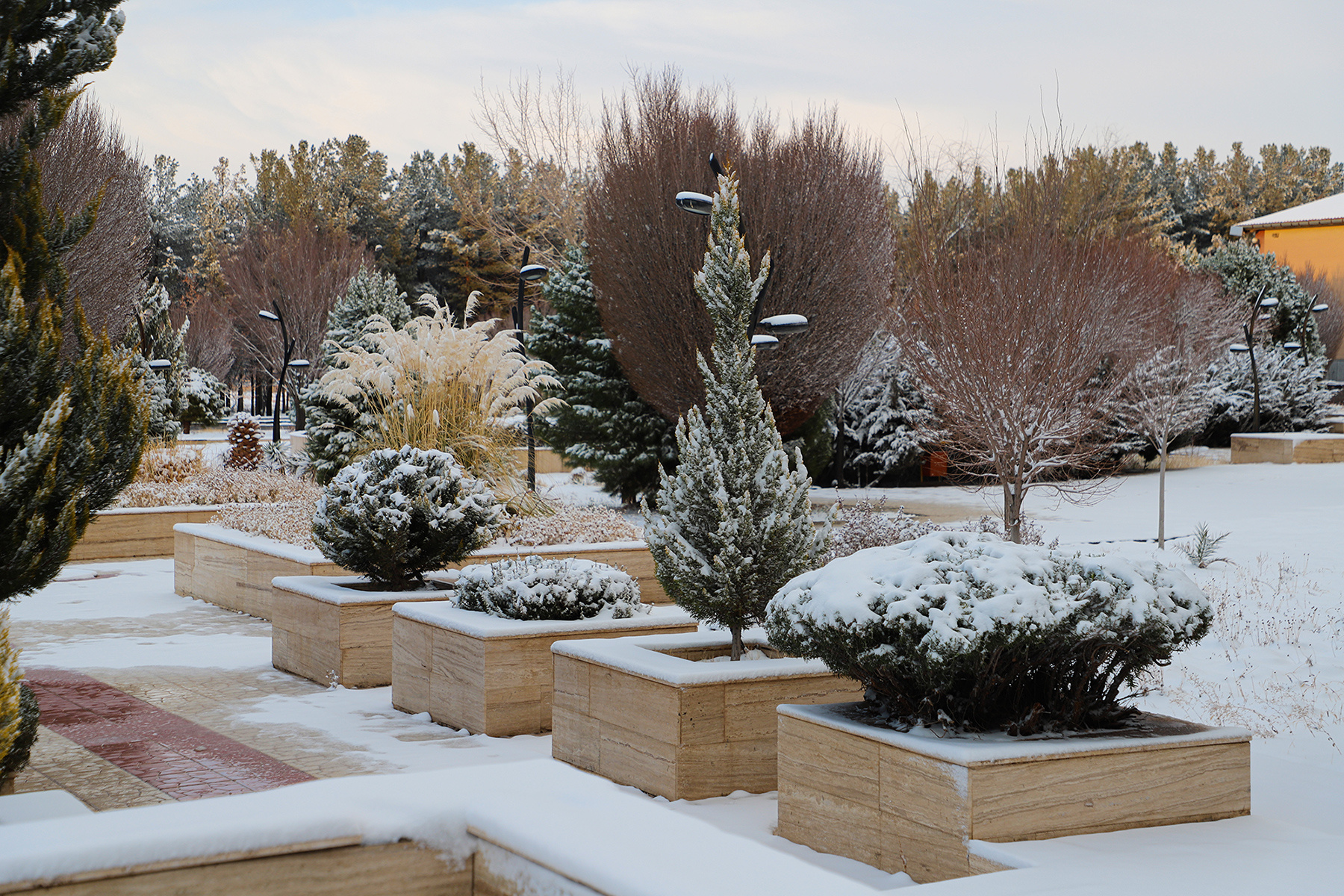 عکس: حسین سبزه‌بان