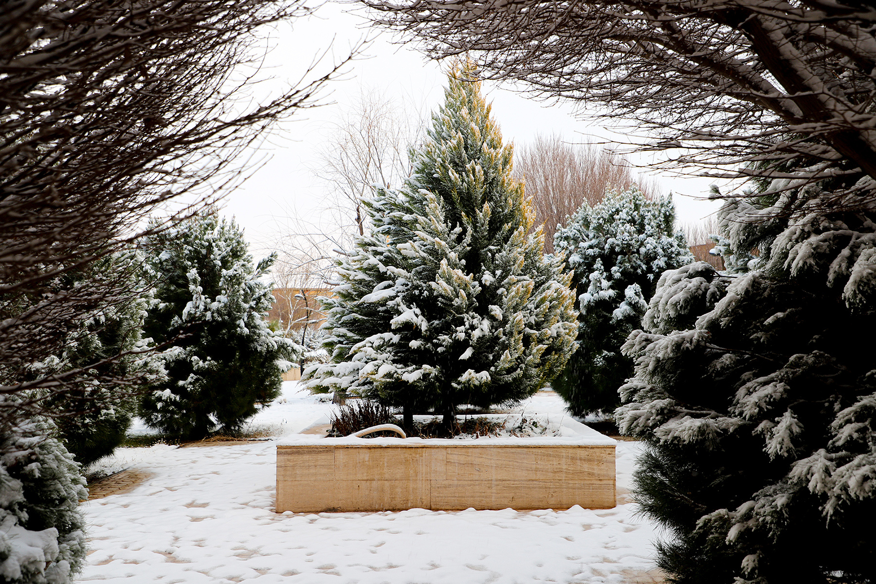 عکس: حسین سبزه‌بان