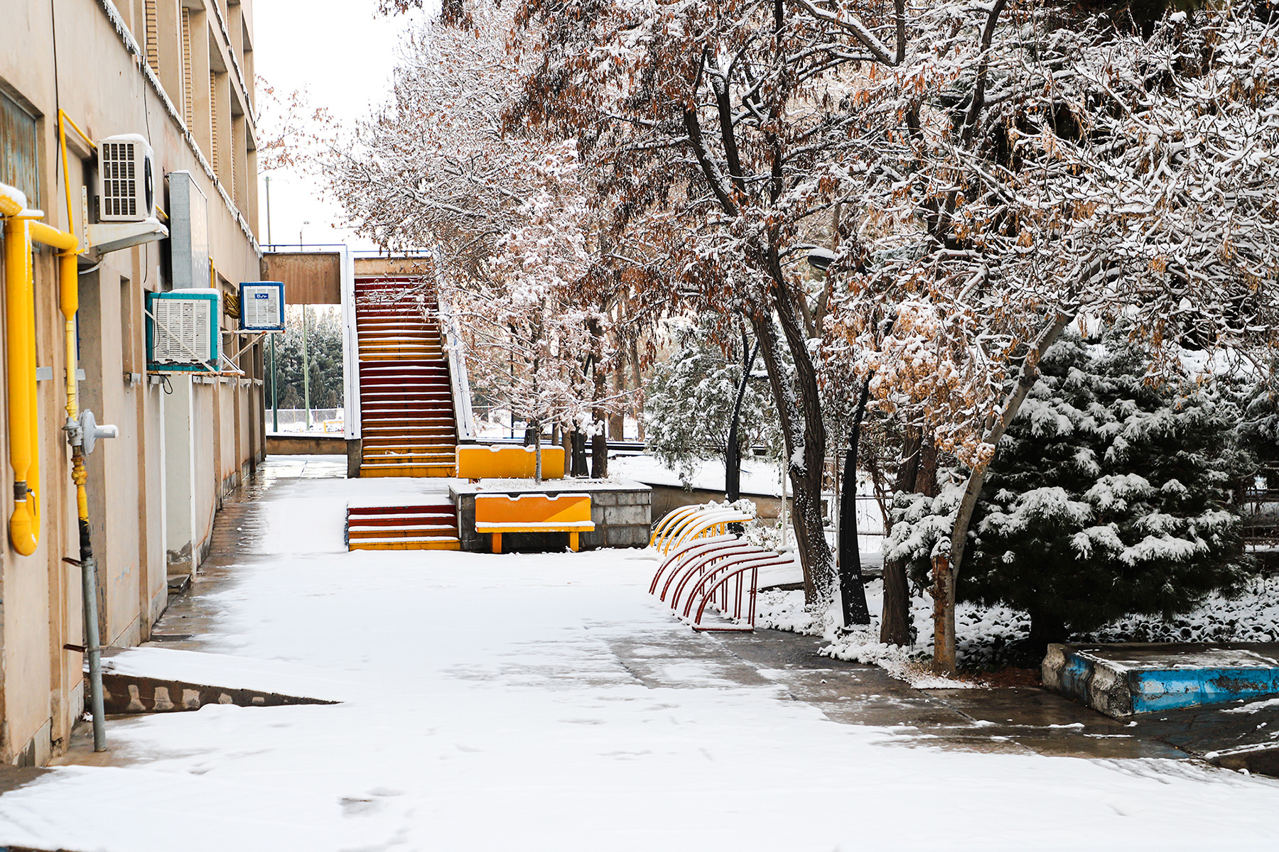 عکس: حسین سبزه‌بان