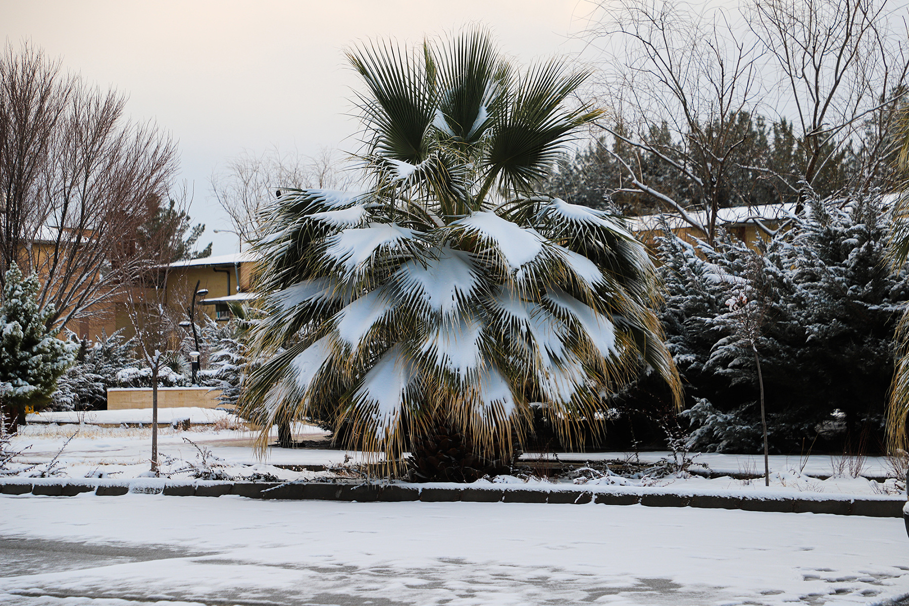 عکس: حسین سبزه‌بان