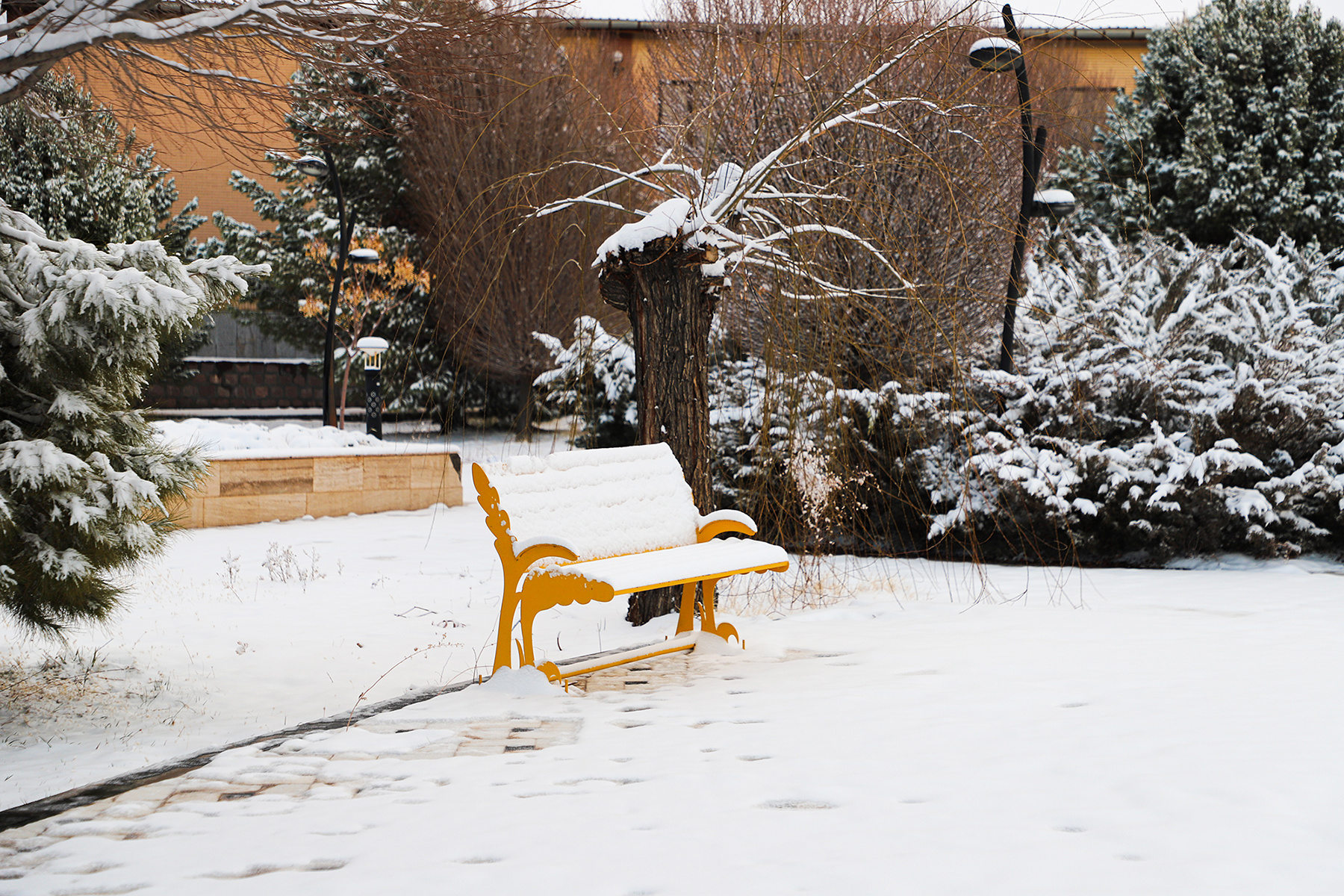 عکس: حسین سبزه‌بان