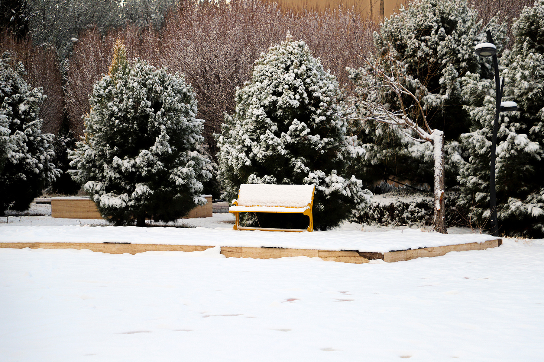 عکس: حسین سبزه‌بان