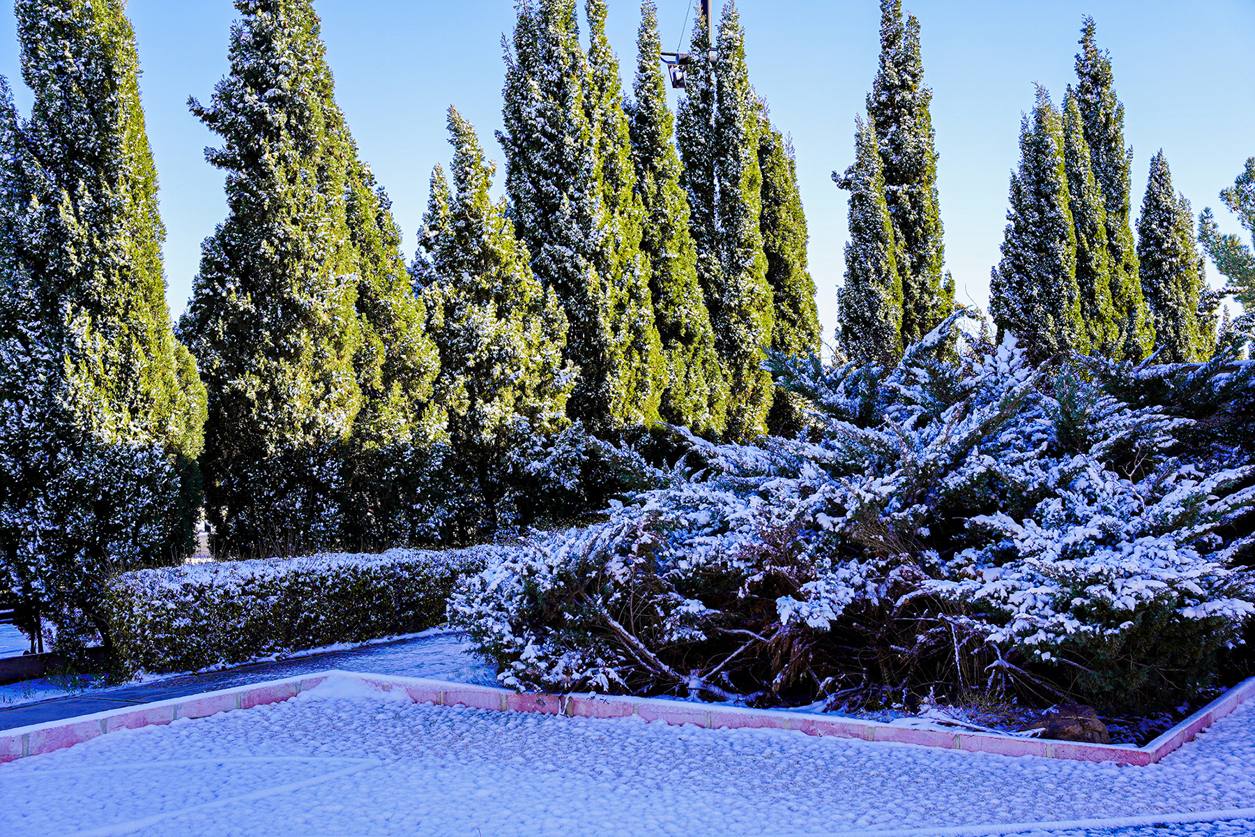 عکس: حسین سبزه‌بان
