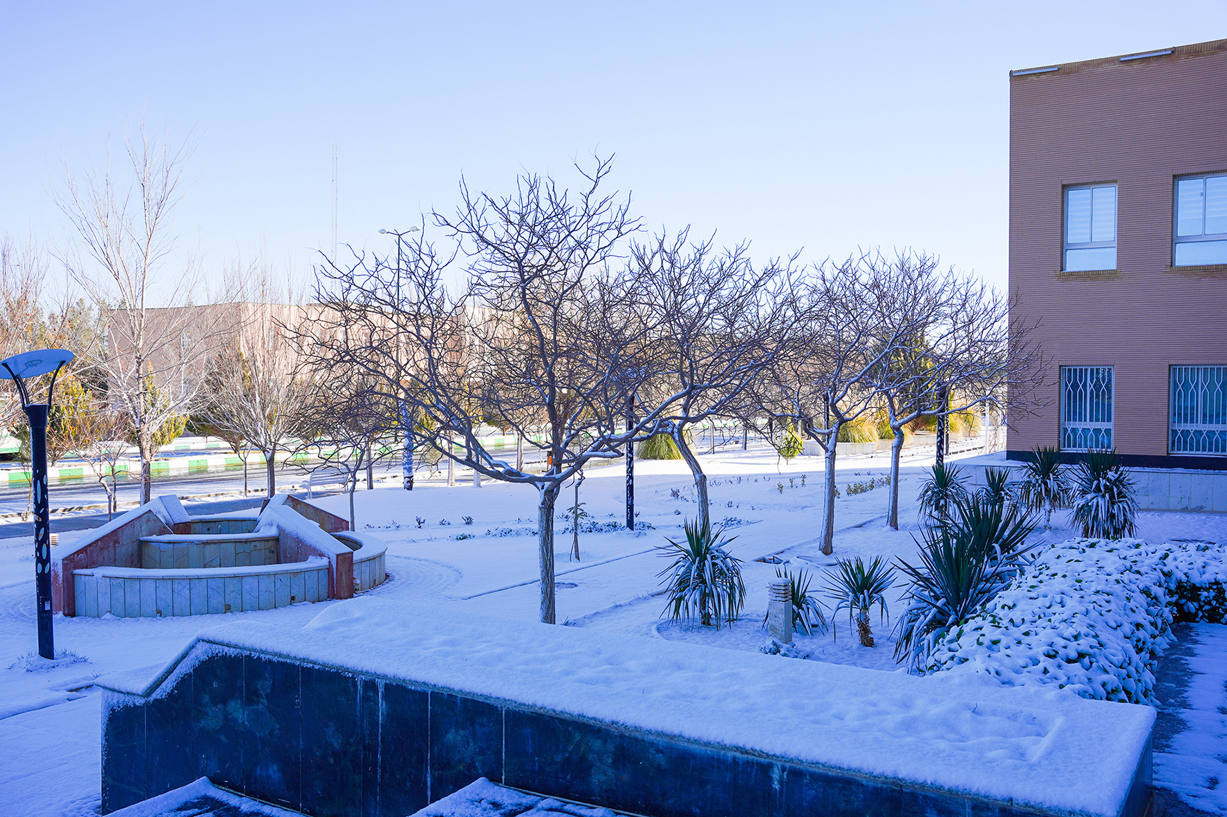 عکس: حسین سبزه‌بان