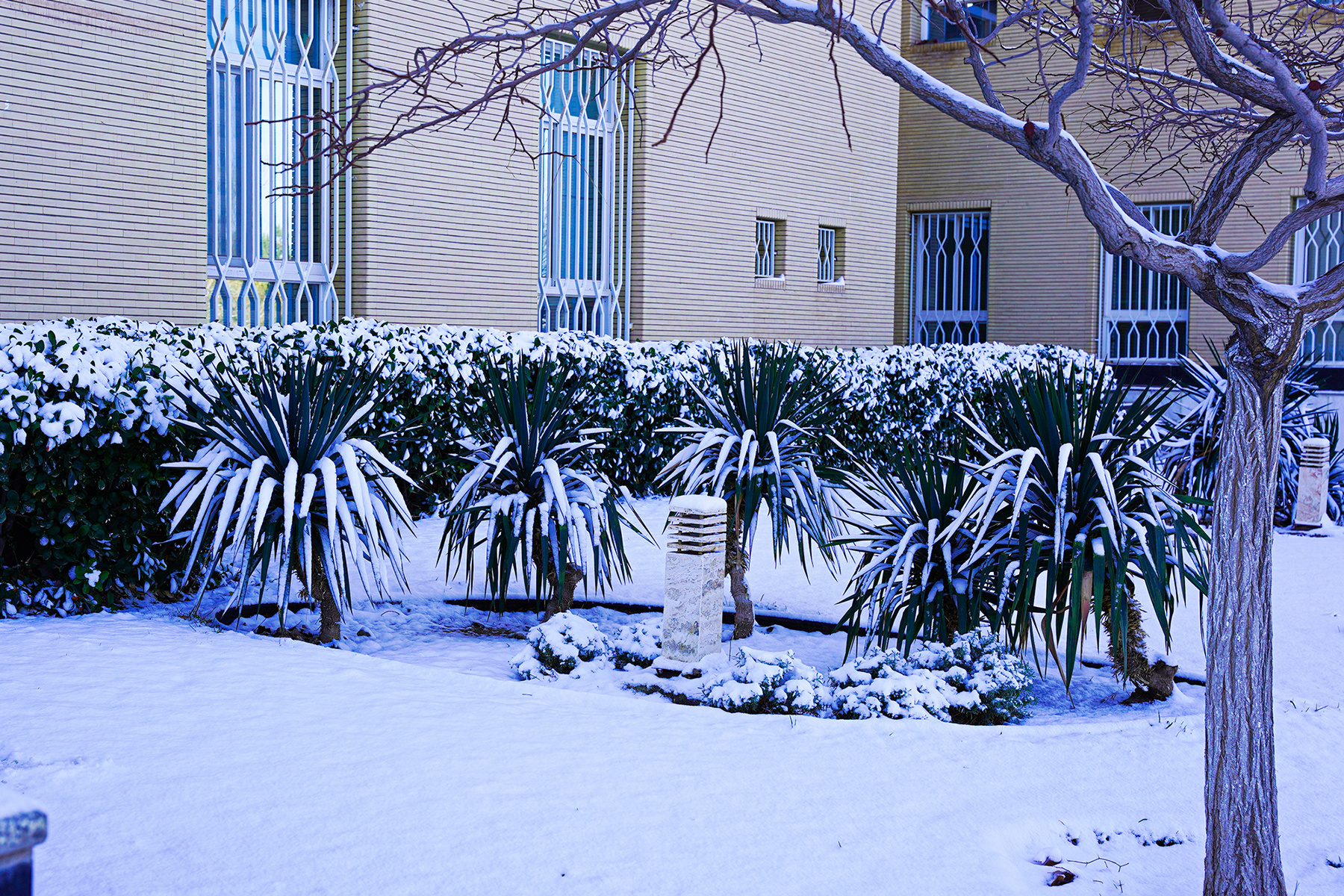 عکس: حسین سبزه‌بان