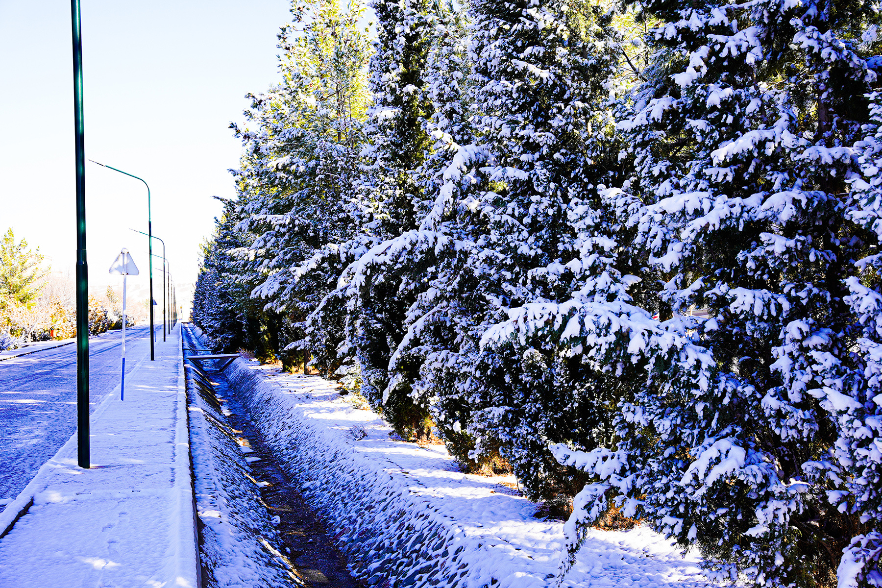 عکس: حسین سبزه‌بان