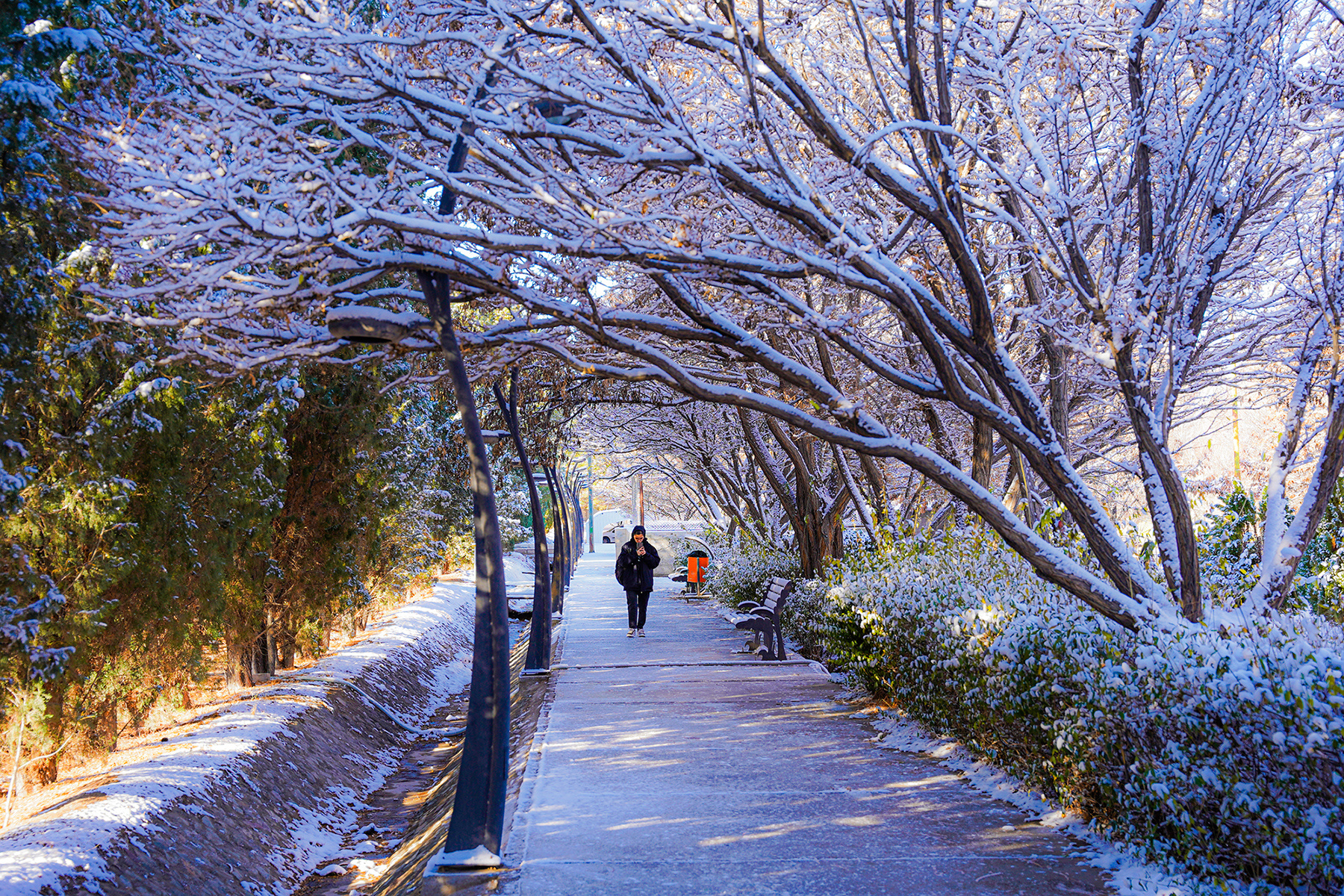 عکس: حسین سبزه‌بان