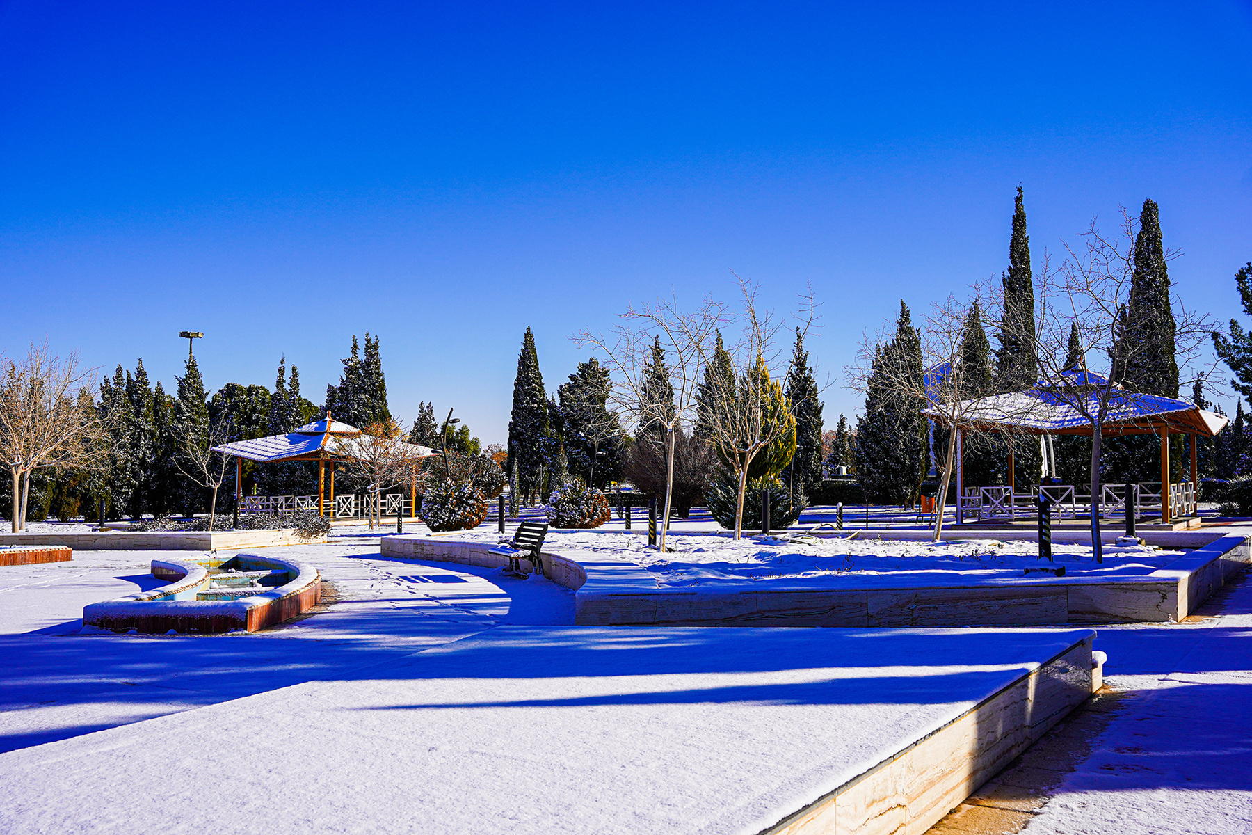 عکس: حسین سبزه‌بان