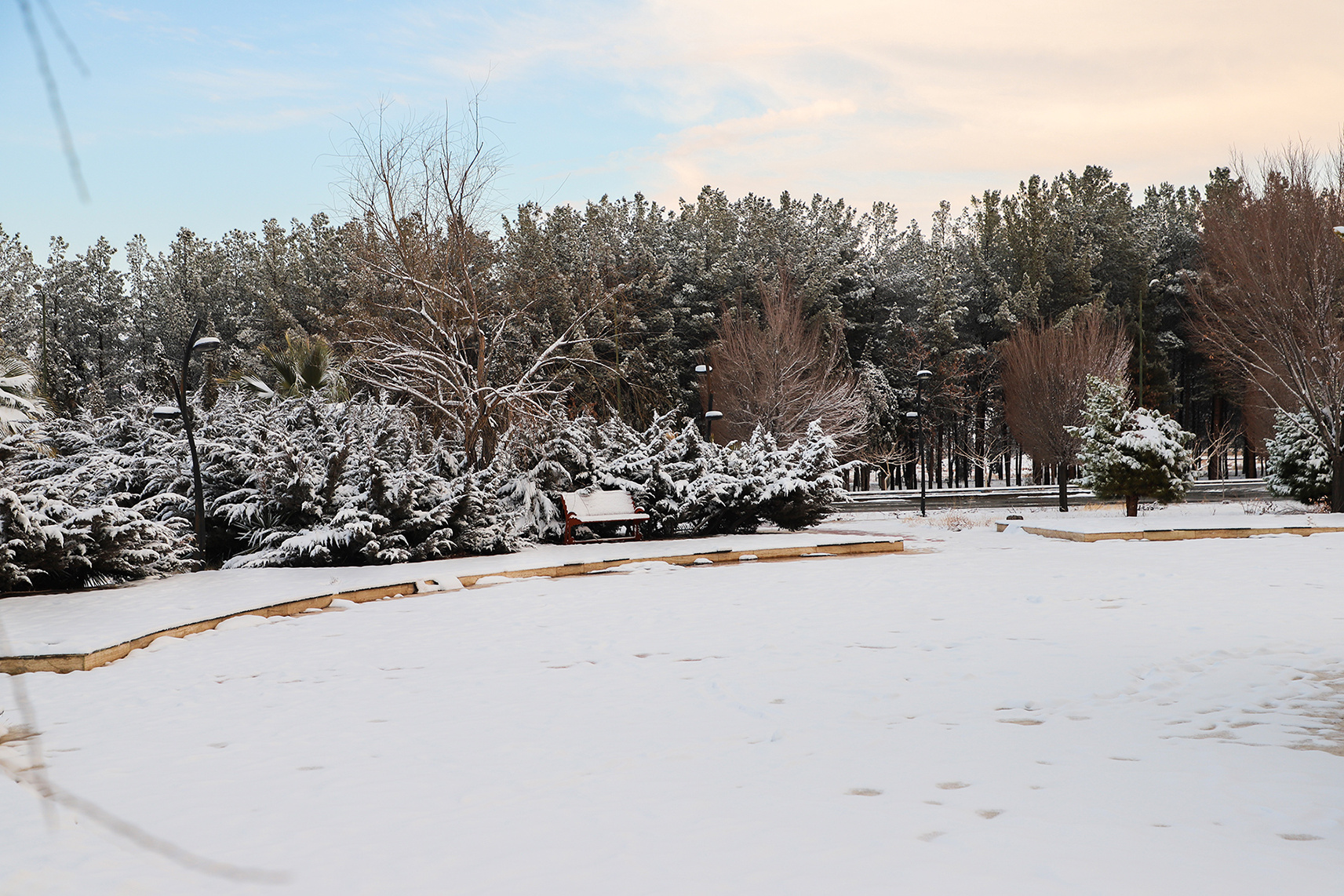 عکس: حسین سبزه‌بان