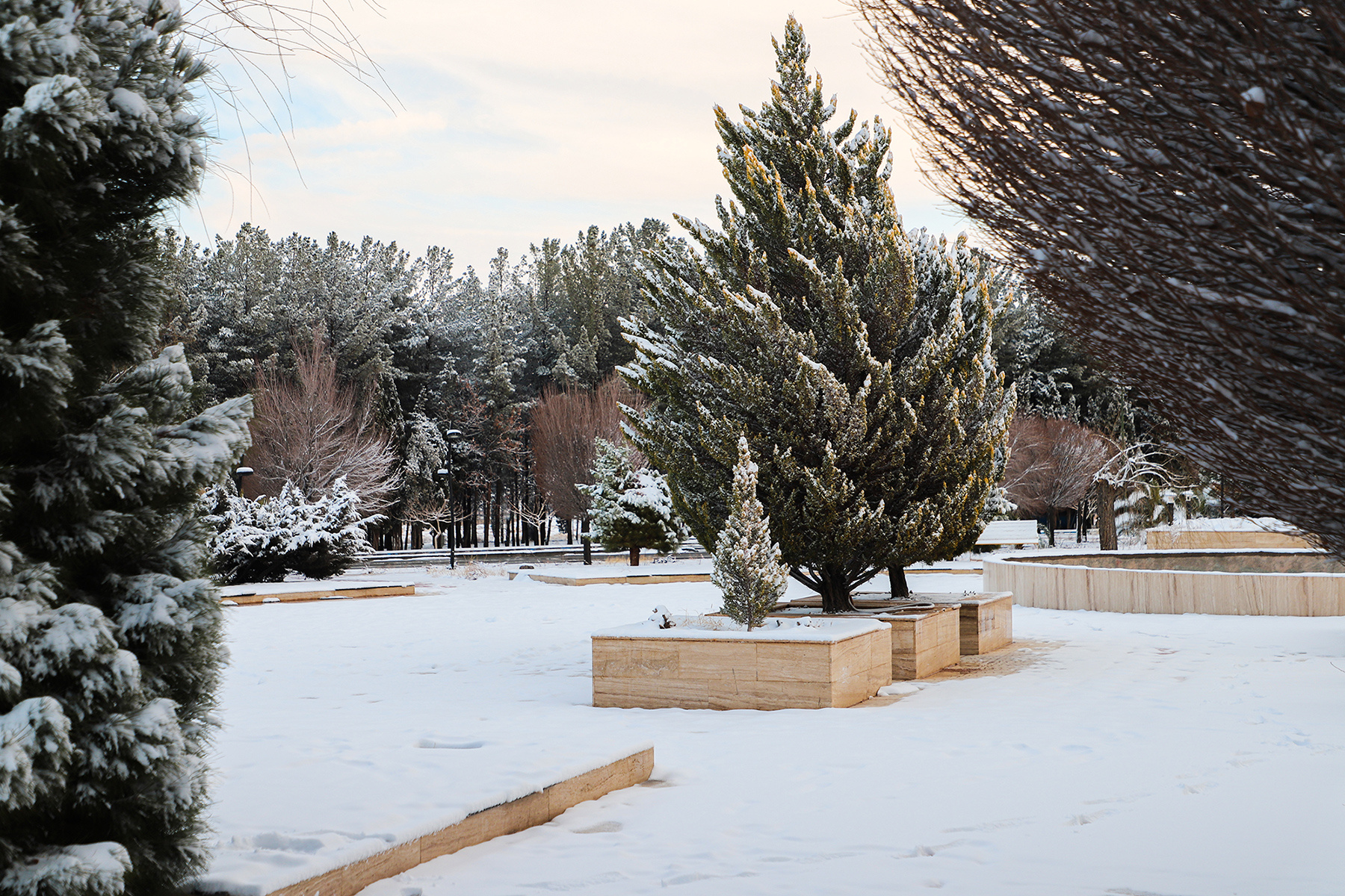 عکس: حسین سبزه‌بان