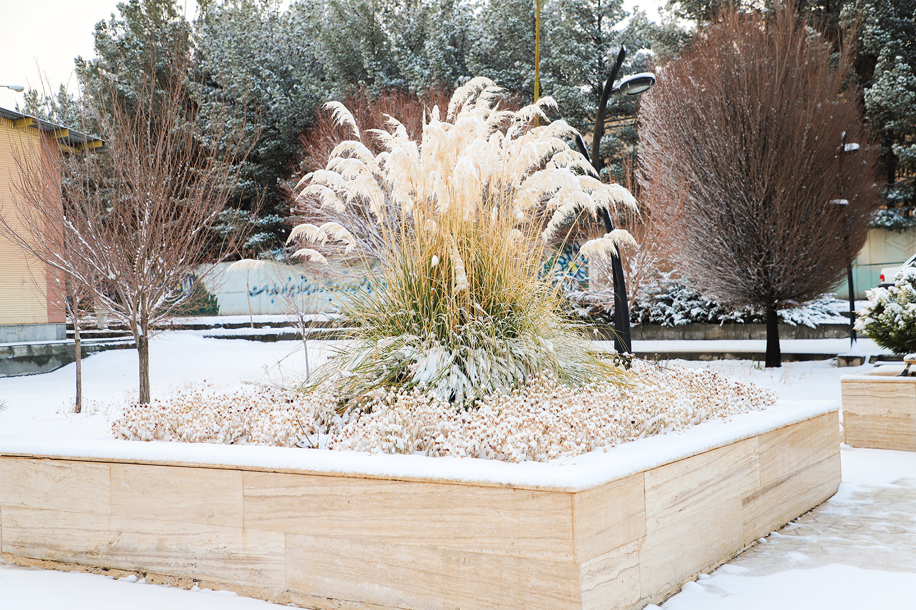 عکس: حسین سبزه‌بان