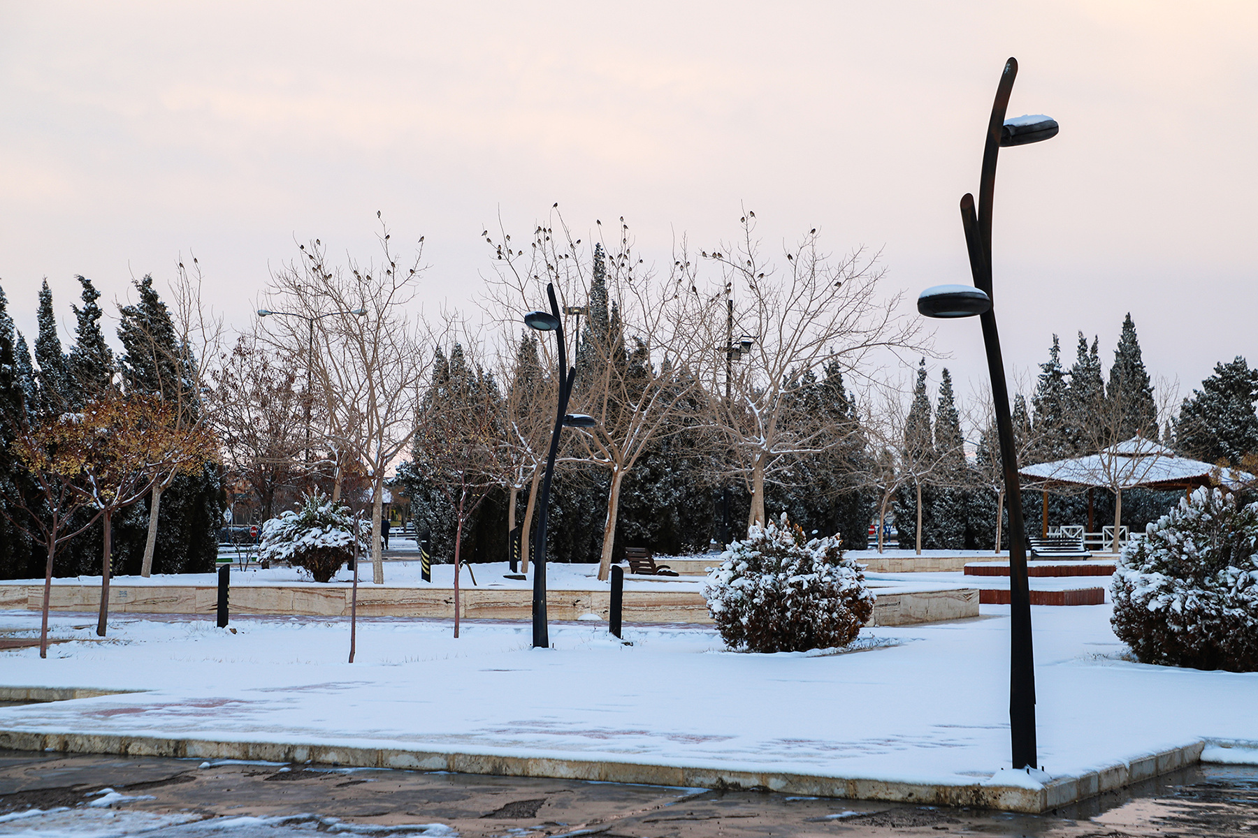 عکس: حسین سبزه‌بان