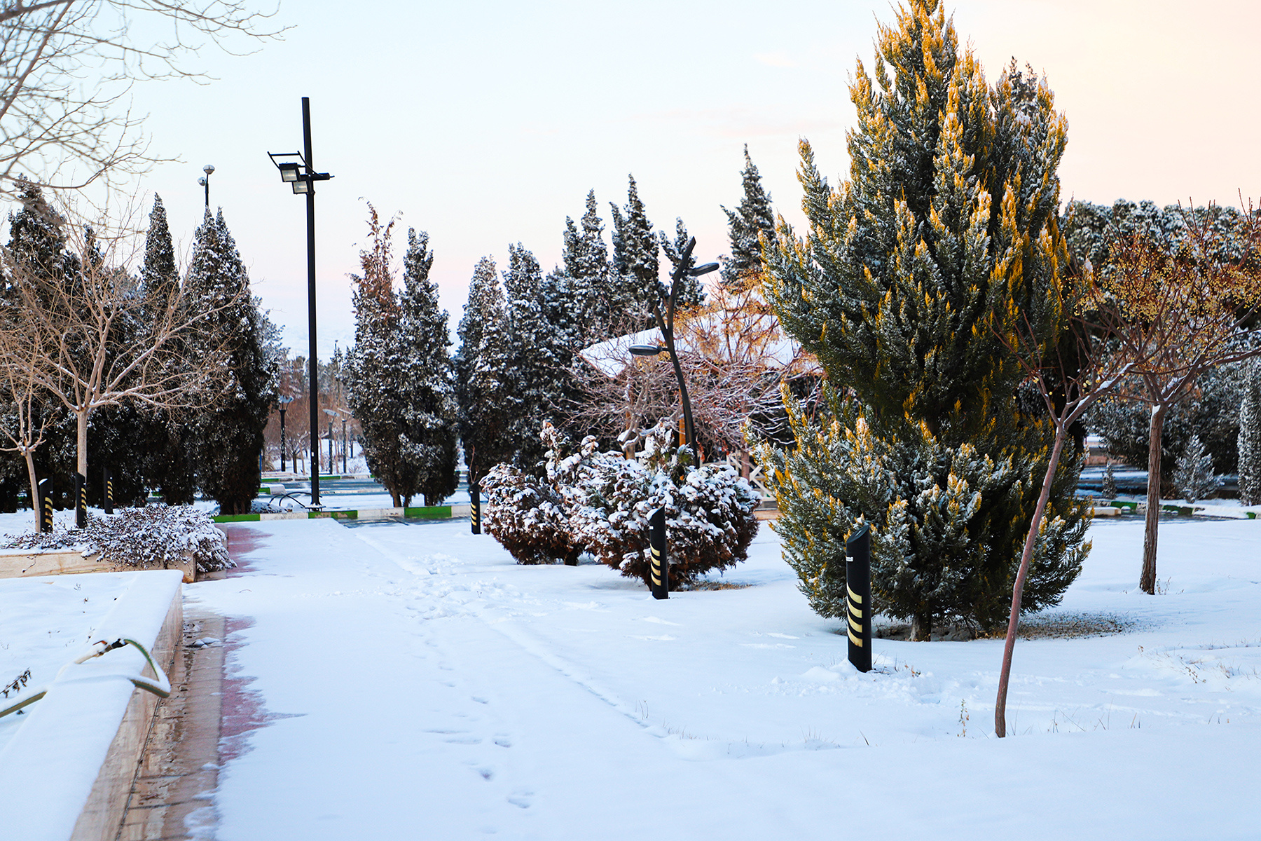 عکس: حسین سبزه‌بان