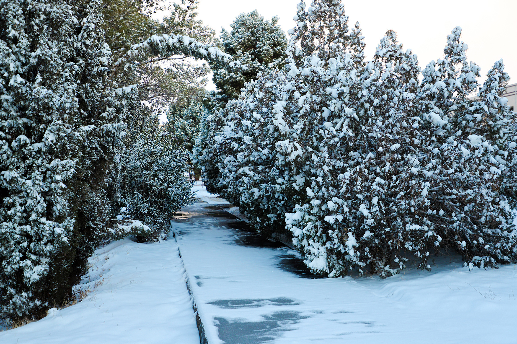 عکس: حسین سبزه‌بان