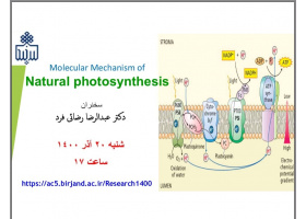 برگزاری وبینار Molecular Mechanism of Natural Photosynthesis