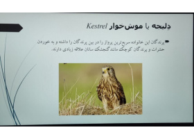 برگزاری جلسه سخنرانی هفته پژوهش با عنوان پرنده شناسی با تأکید بر معرفی چند گونه بومی استان خراسان جنوبی و پرورش پرندگان زینتی
