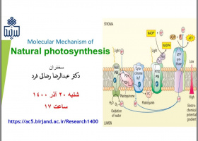 برگزاری وبینار Molecular Mechanism of Natural Photosynthesis